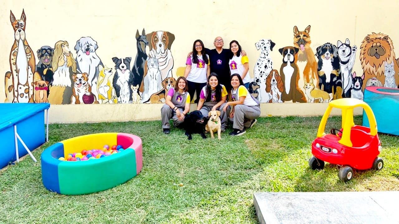 Hospedaje y Guardería - Bigotes WoW en Azángaro, Puno, Perú - Hoteles y guarderías para perros