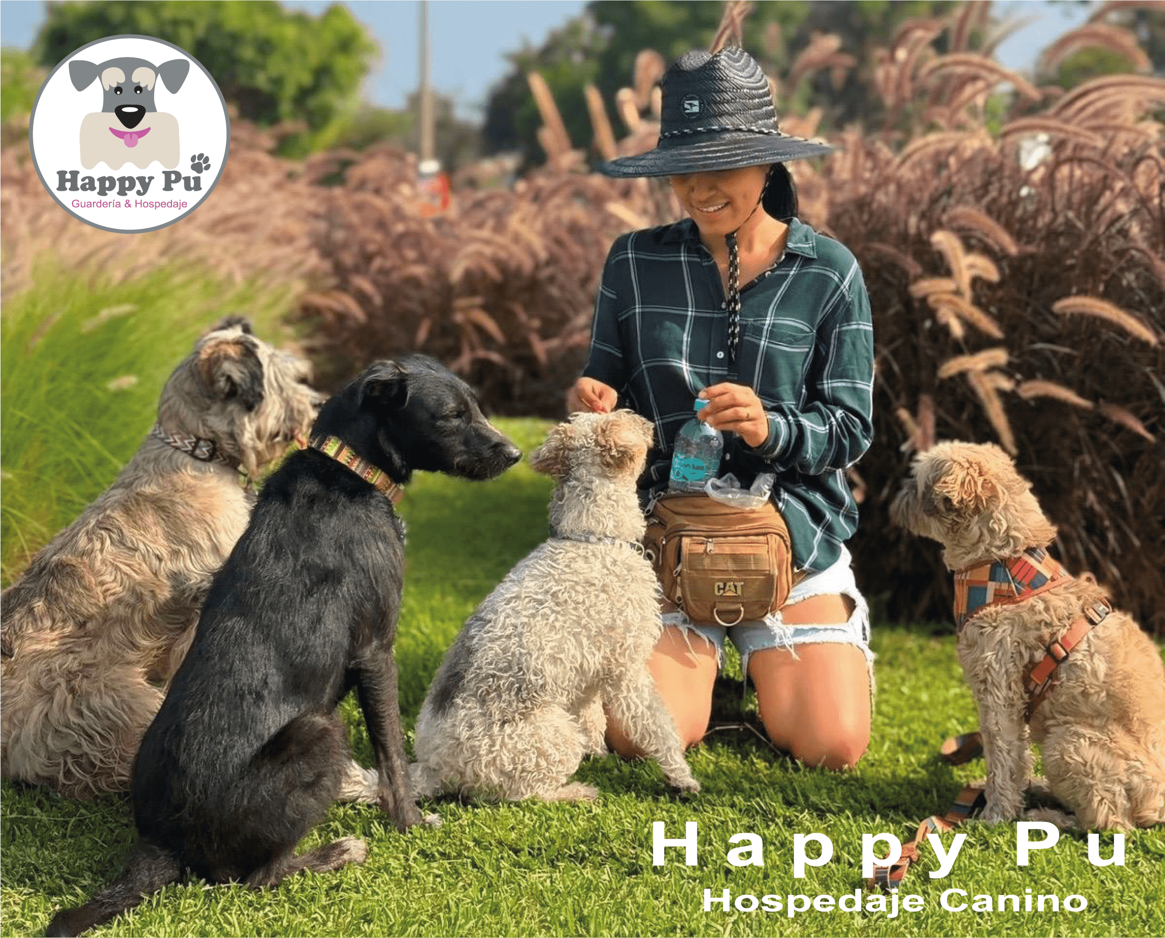Happy Pu Hotel & Guardería Canina en La Molina en Azángaro, Puno, Perú - Hoteles y guarderías para perros