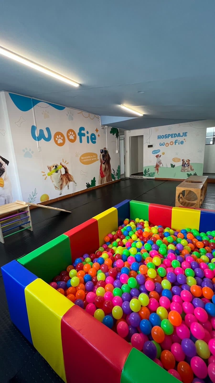 Woofie Spa & Hospedaje para mascotas 2 en Azángaro, Puno, Perú - Hoteles y guarderías para perros