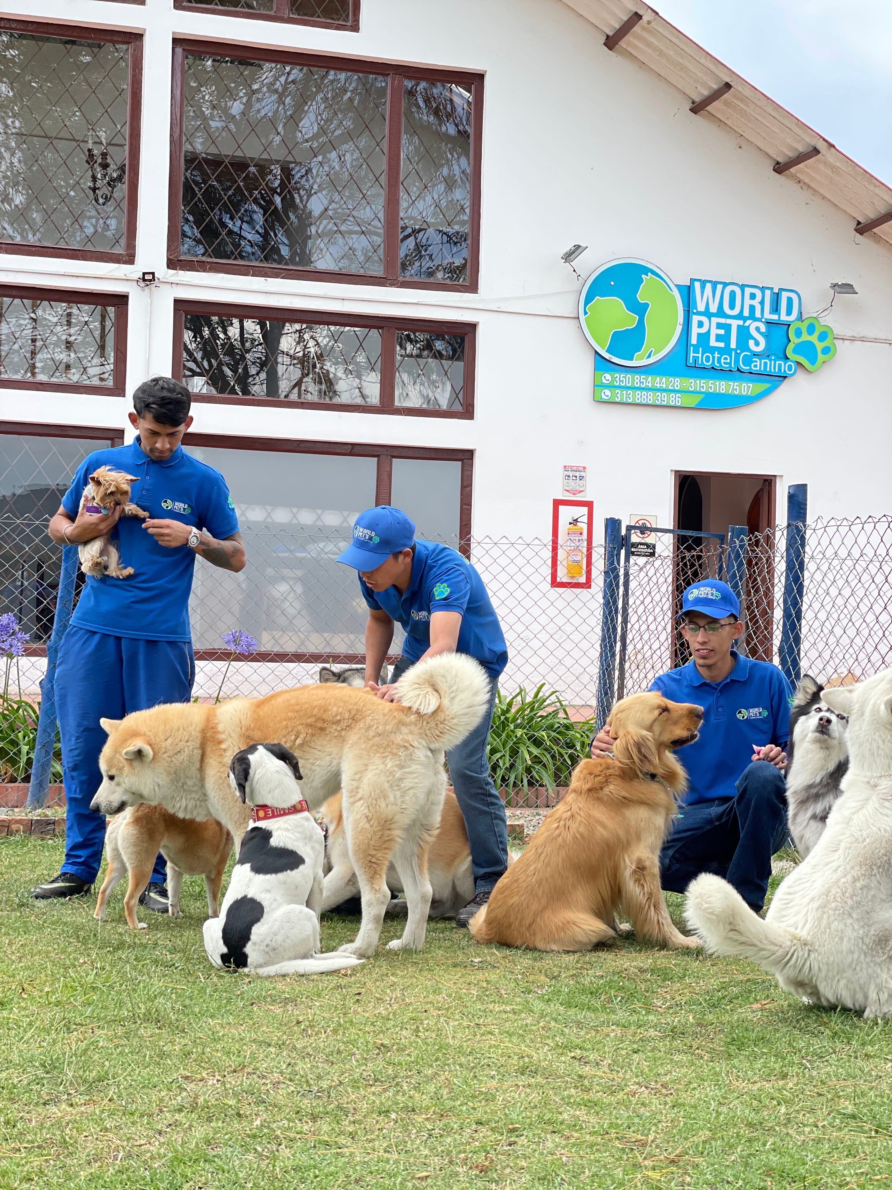 Hotel Canino DOG HUG 2 en Colombia - Hoteles y guarderías para perros