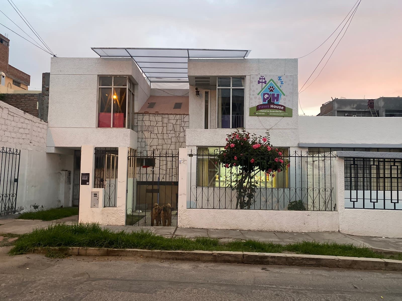 Paws House - Guardería y Hospedaje de Mascotas 2 en Azángaro, Puno, Perú - Hoteles y guarderías para perros