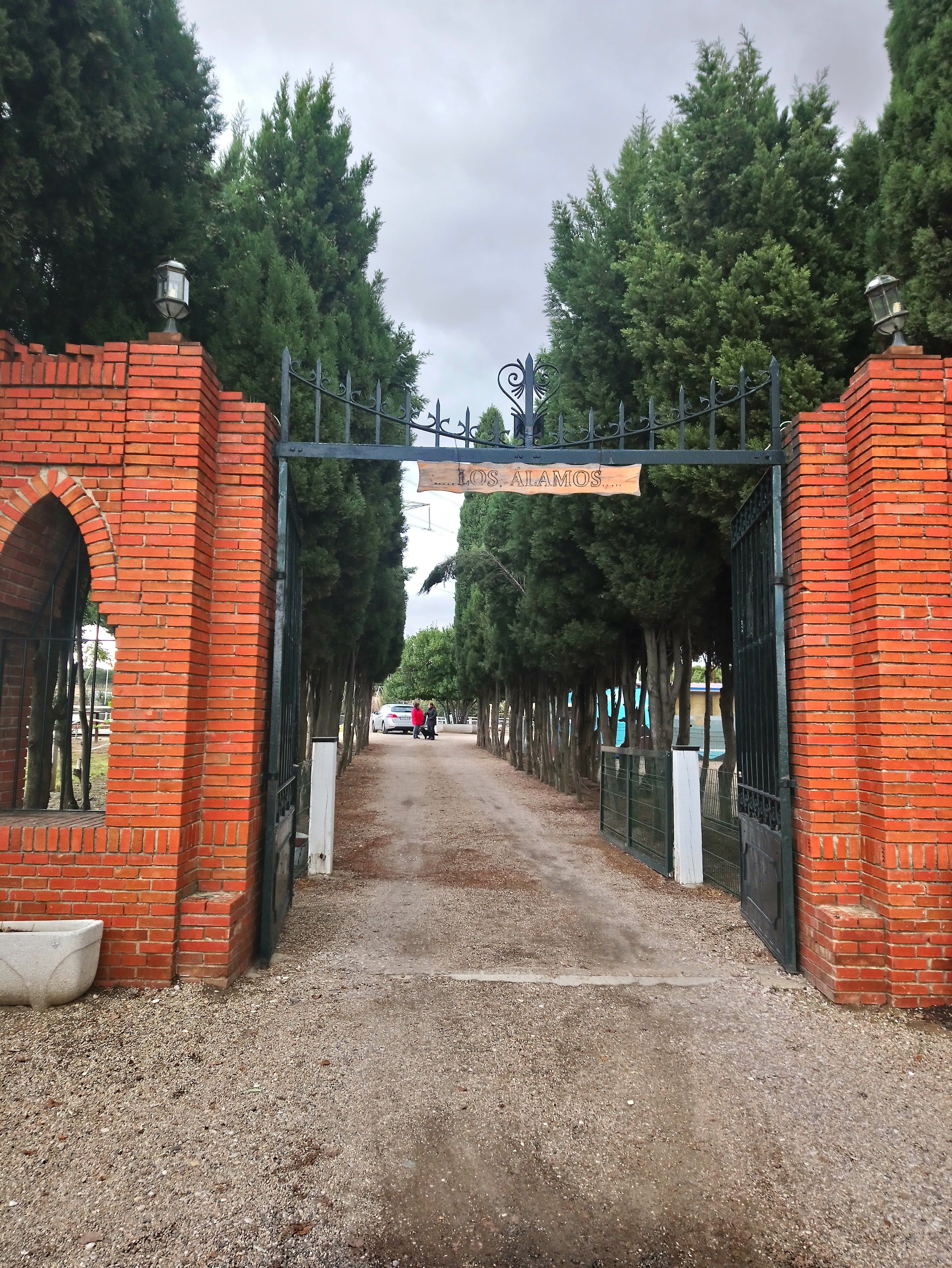 Residencia Los Álamos en Castilla-La Mancha, España - Hoteles y guarderías para gatos