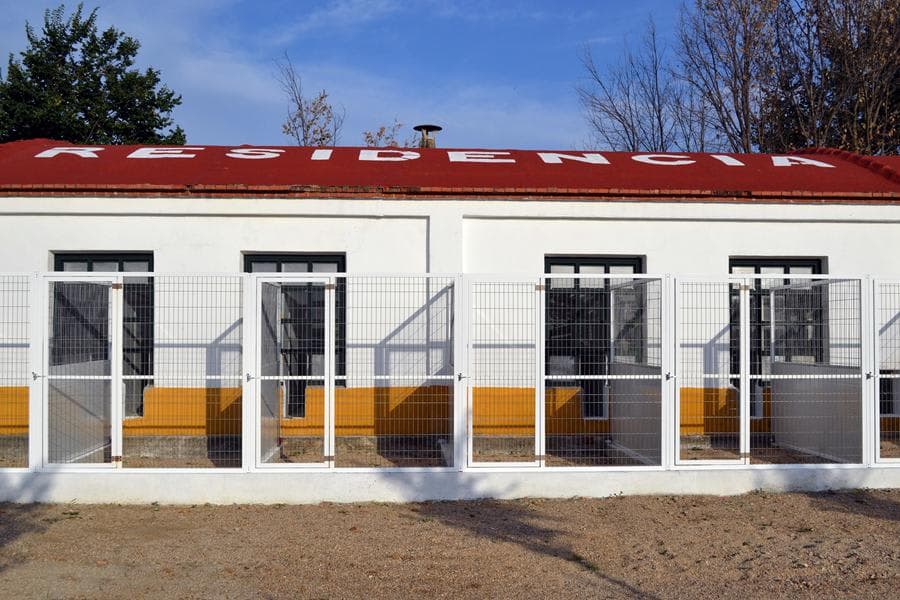 Residencia Los Álamos 3 en Castilla-La Mancha, España - Hoteles y guarderías para gatos