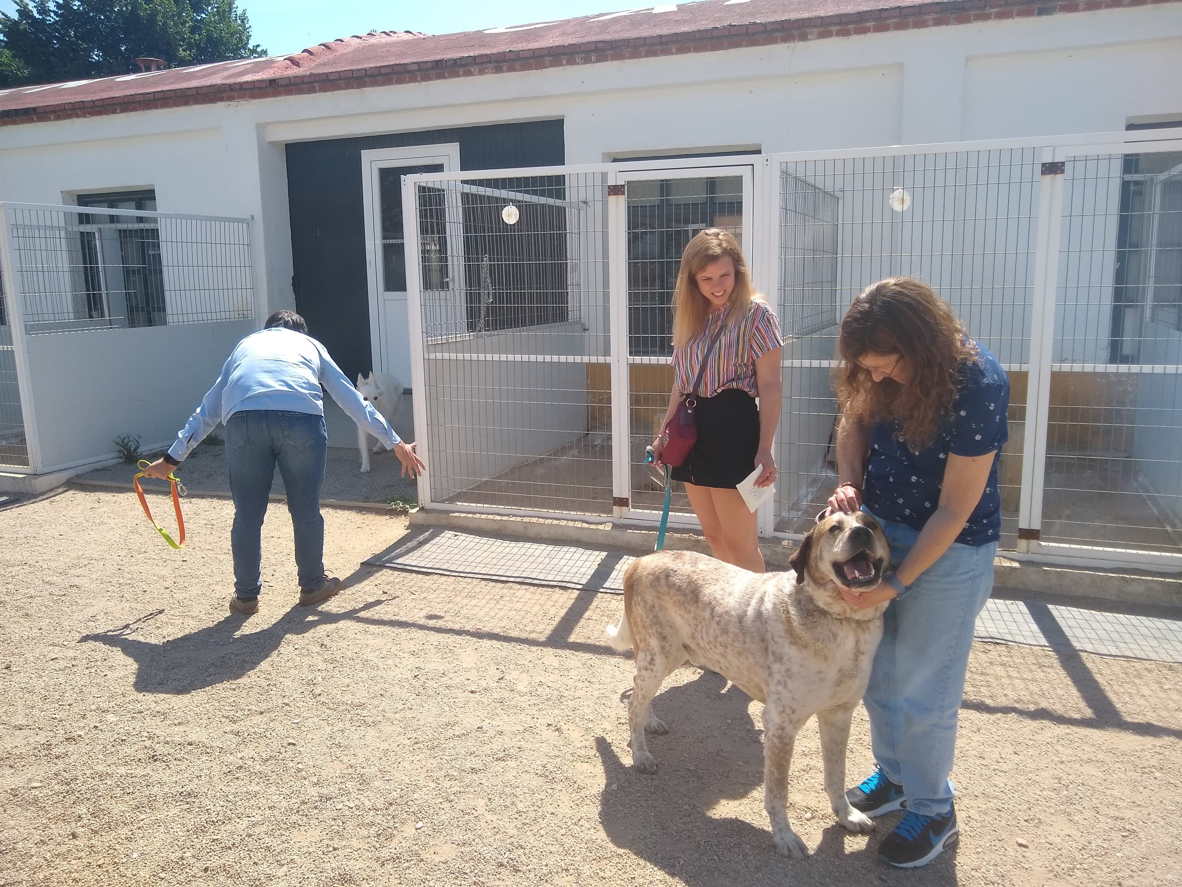 Residencia Los Álamos 2 en Castilla-La Mancha, España - Hoteles y guarderías para gatos