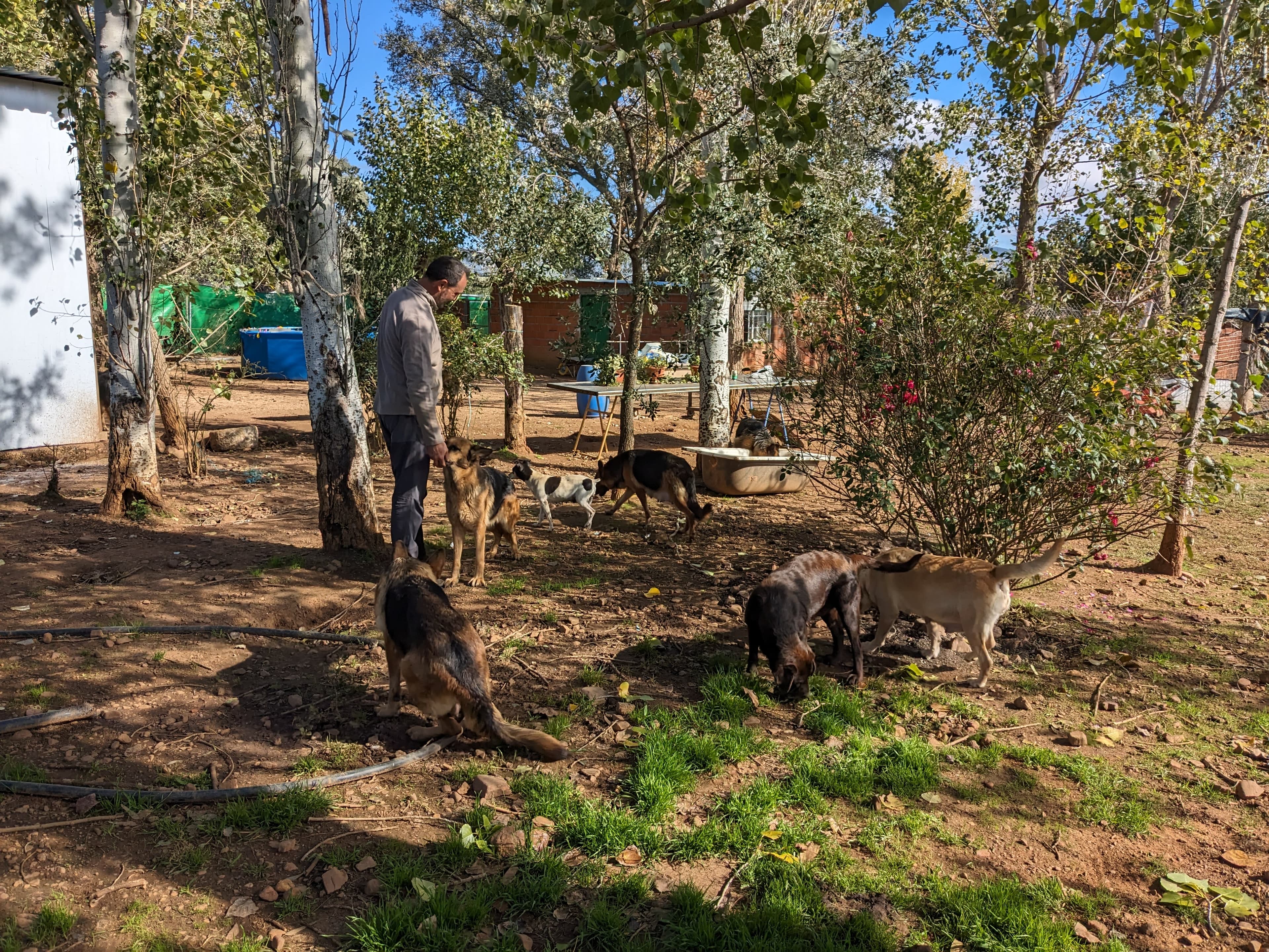 Residencia Canina Sarbecan en Castilla-La Mancha, España - Hoteles y guarderías para gatos