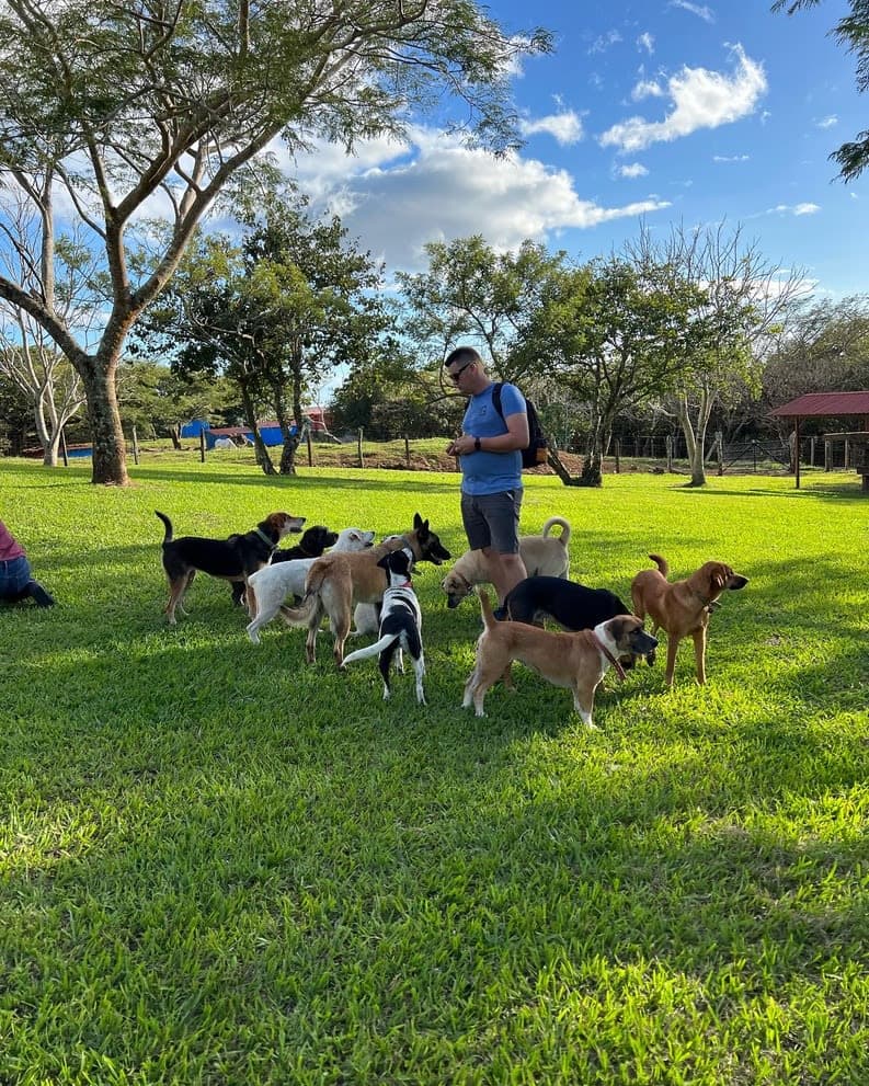Guayabo Animal Rescue en Nicoya, Guanacaste, Costa Rica - Perros en adopción