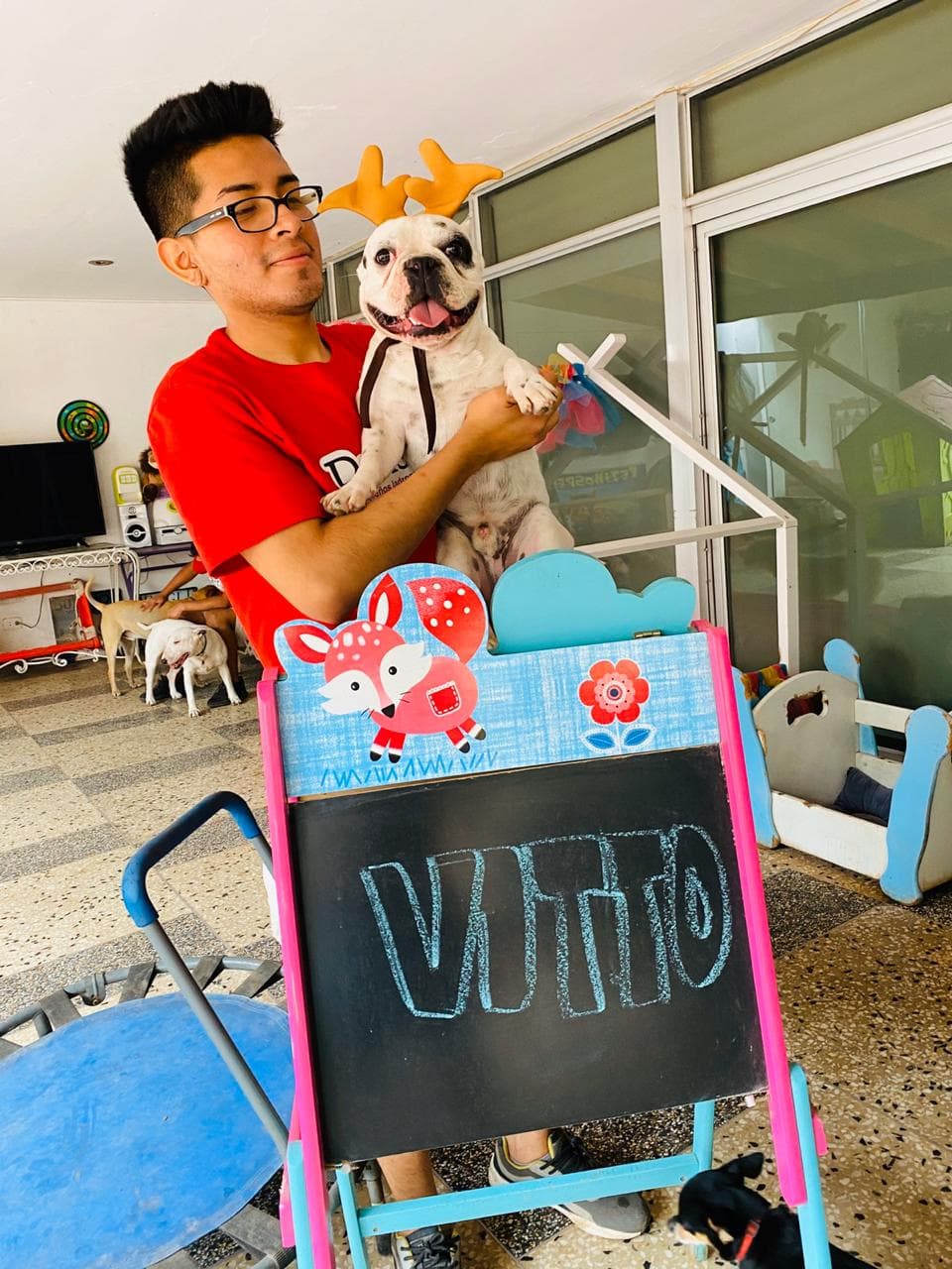 Petisos 3 en San Borja, Lima, Perú - Hoteles y guarderías para perros