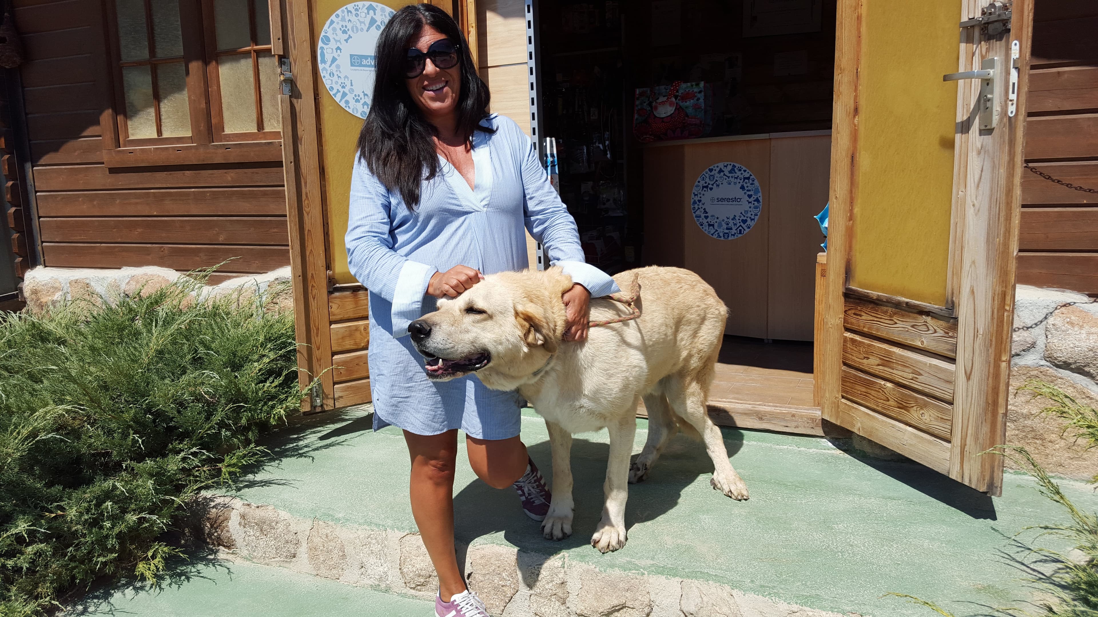 Hotel canino Bestcan en Castilla-La Mancha, España - Hoteles y guarderías para gatos