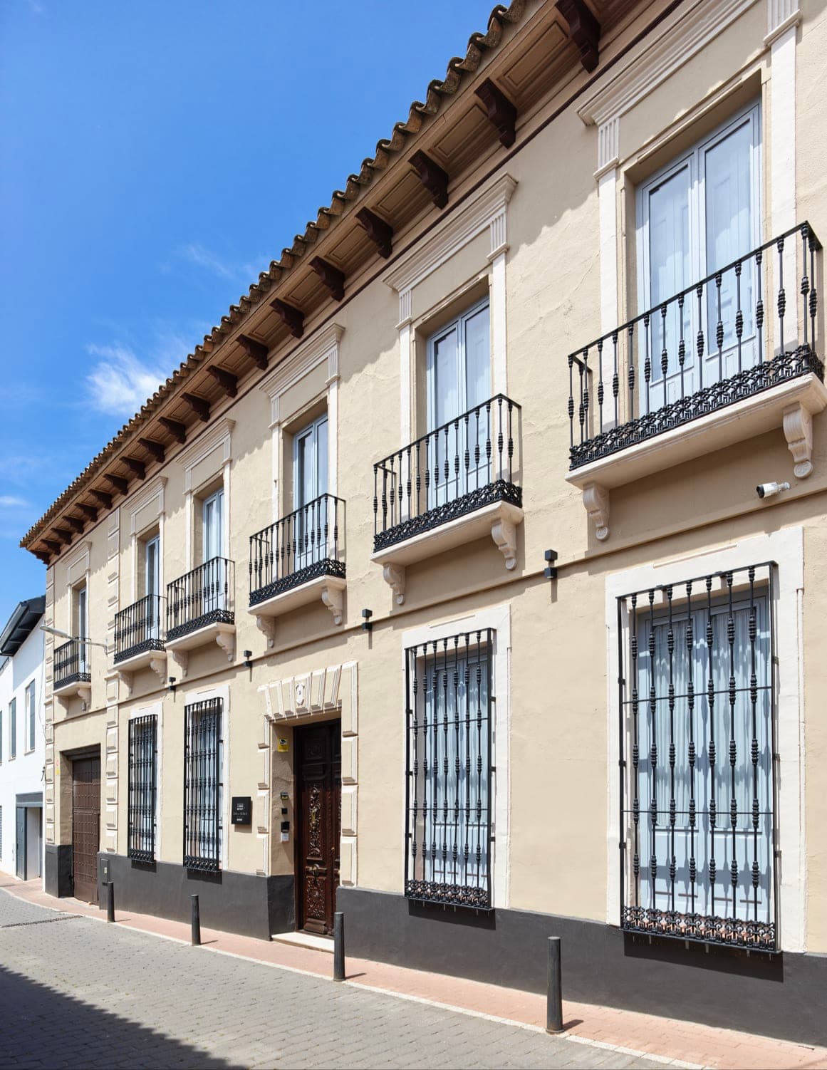 Casa del Medico Hotel Boutique en Alcázar de San Juan, Castilla-La Mancha, España - Hoteles y guarderías para gatos