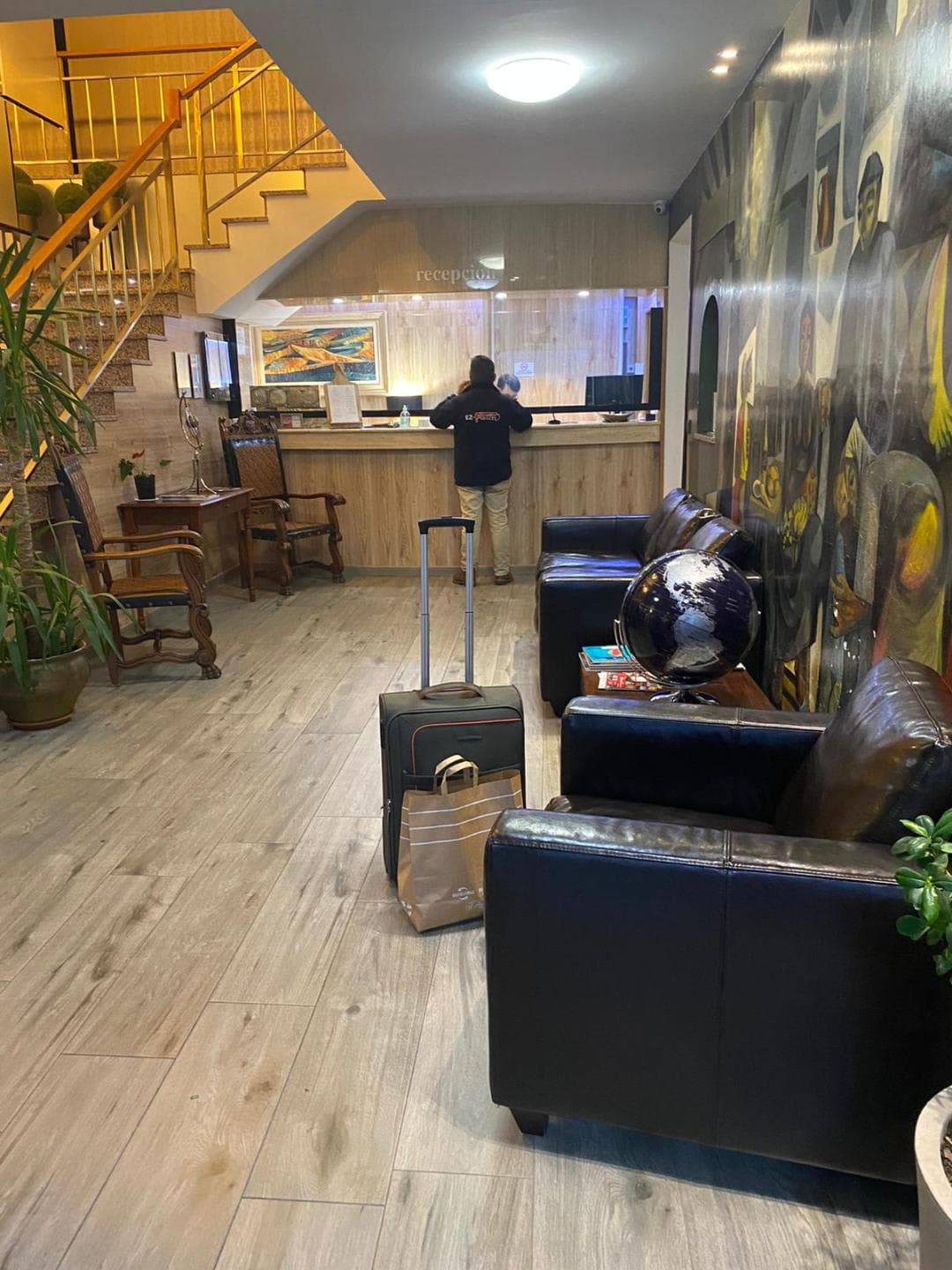 Hotel Ínsula Barataria Grupo Pedro del San 3 en Alcázar de San Juan, Castilla-La Mancha, España - Hoteles y guarderías para gatos