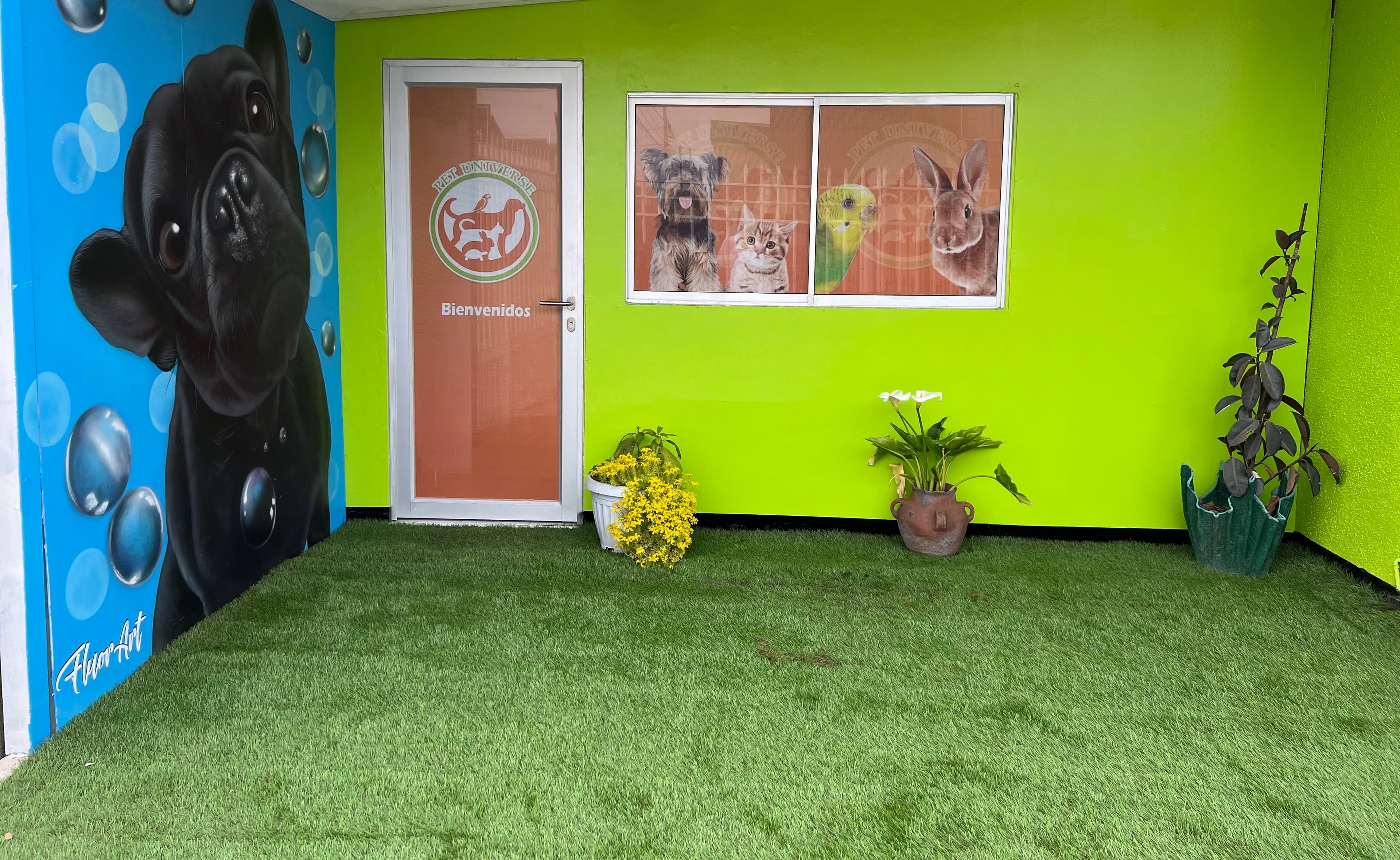 PET UNIVERSE - Peluquería de Mascotas & Hotel Canino 2 en Talca, Maule, Chile - Hoteles y guarderías para perros