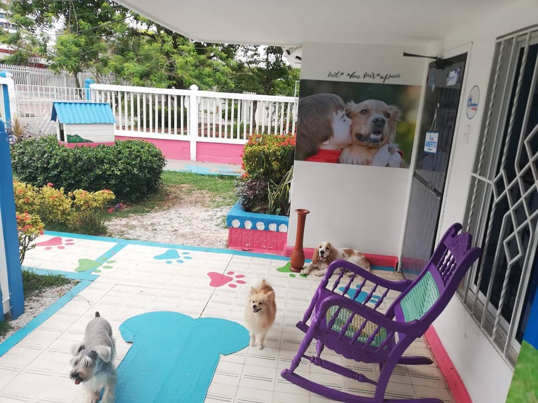 KinderDOG VID 2 en Soledad, Atlántico, Colombia - Hoteles y guarderías para perros