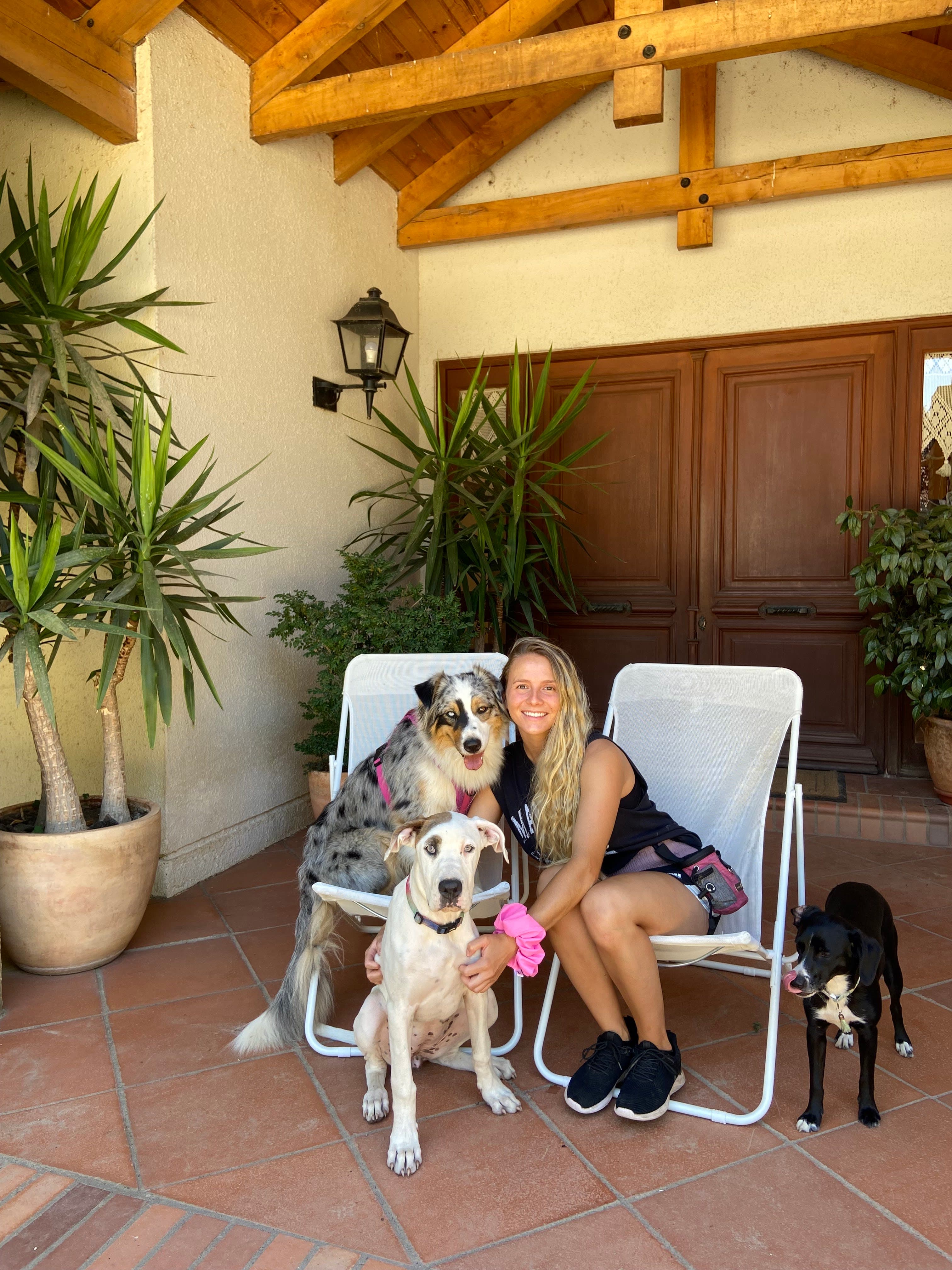Auracan Hotel 3 en Talca, Maule, Chile - Hoteles y guarderías para perros