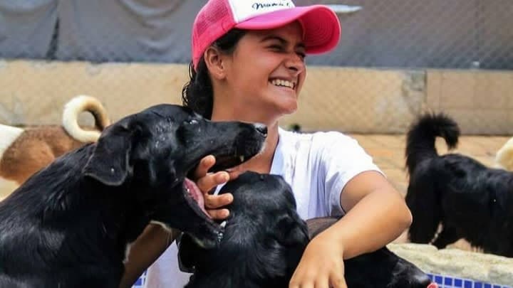 Niñera de mascotas en casa, Medellín🐾 (Nana en Casa)🐱🐶 - Imagen 1