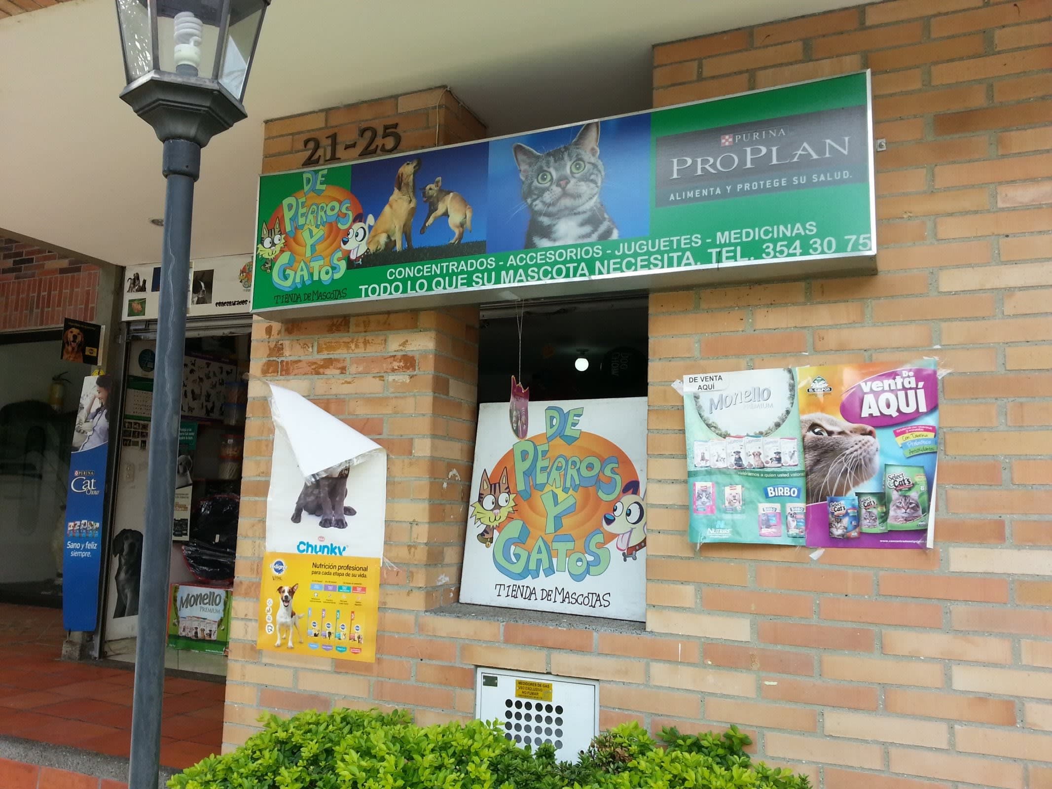 DE PERROS Y GATOS en Medellín, Antioquia, Colombia - Hoteles y guarderías para gatos