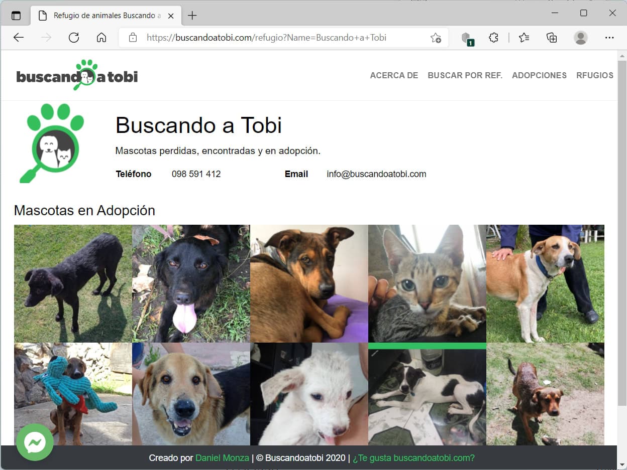 Buscandoatobi 2 en San Carlos, Maldonado, Uruguay - Perros en adopción