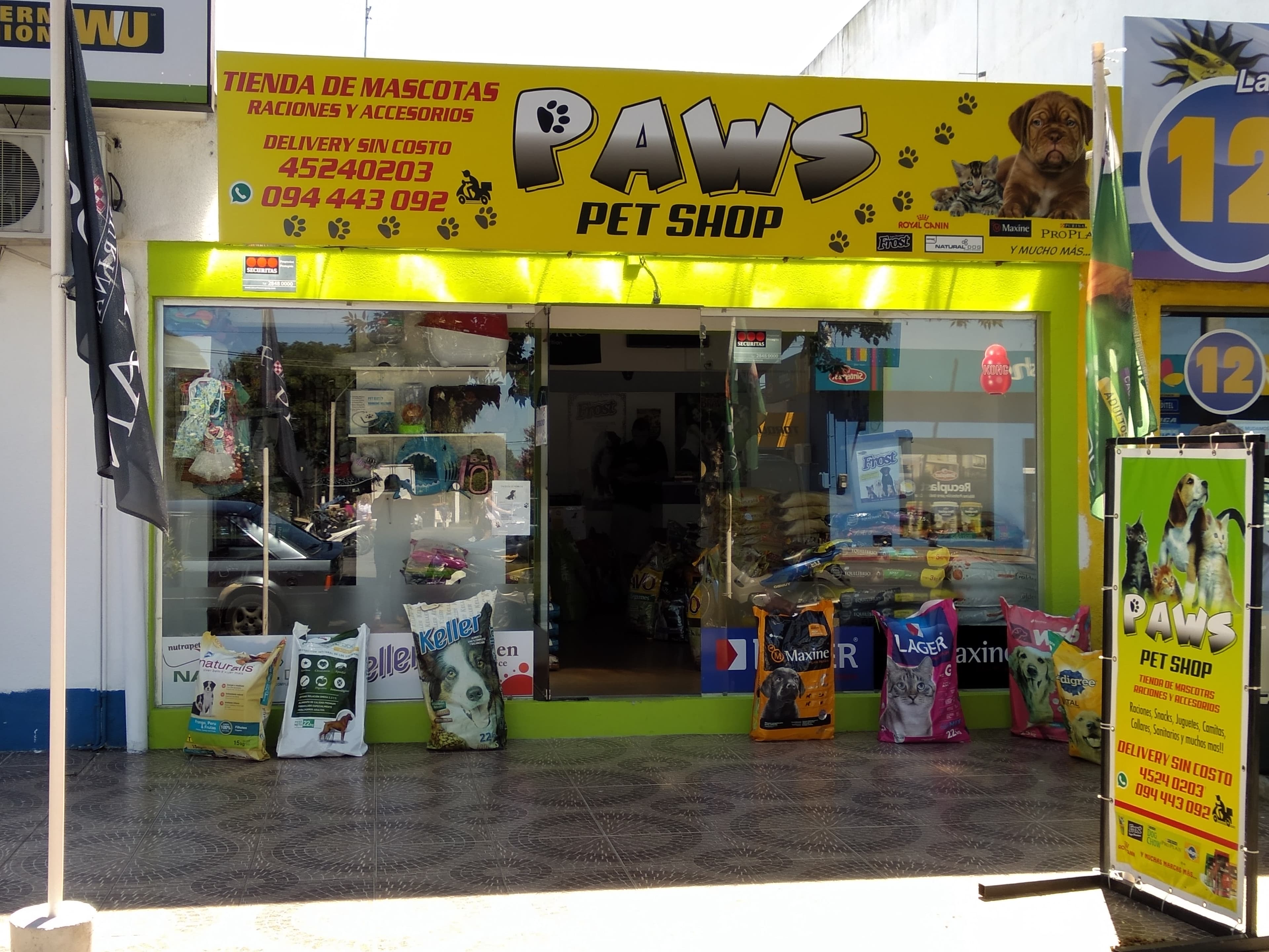 Paws Tienda de productos para Mascotas 2 en Colonia del Sacramento, Colonia, Uruguay - Paseadores de perros