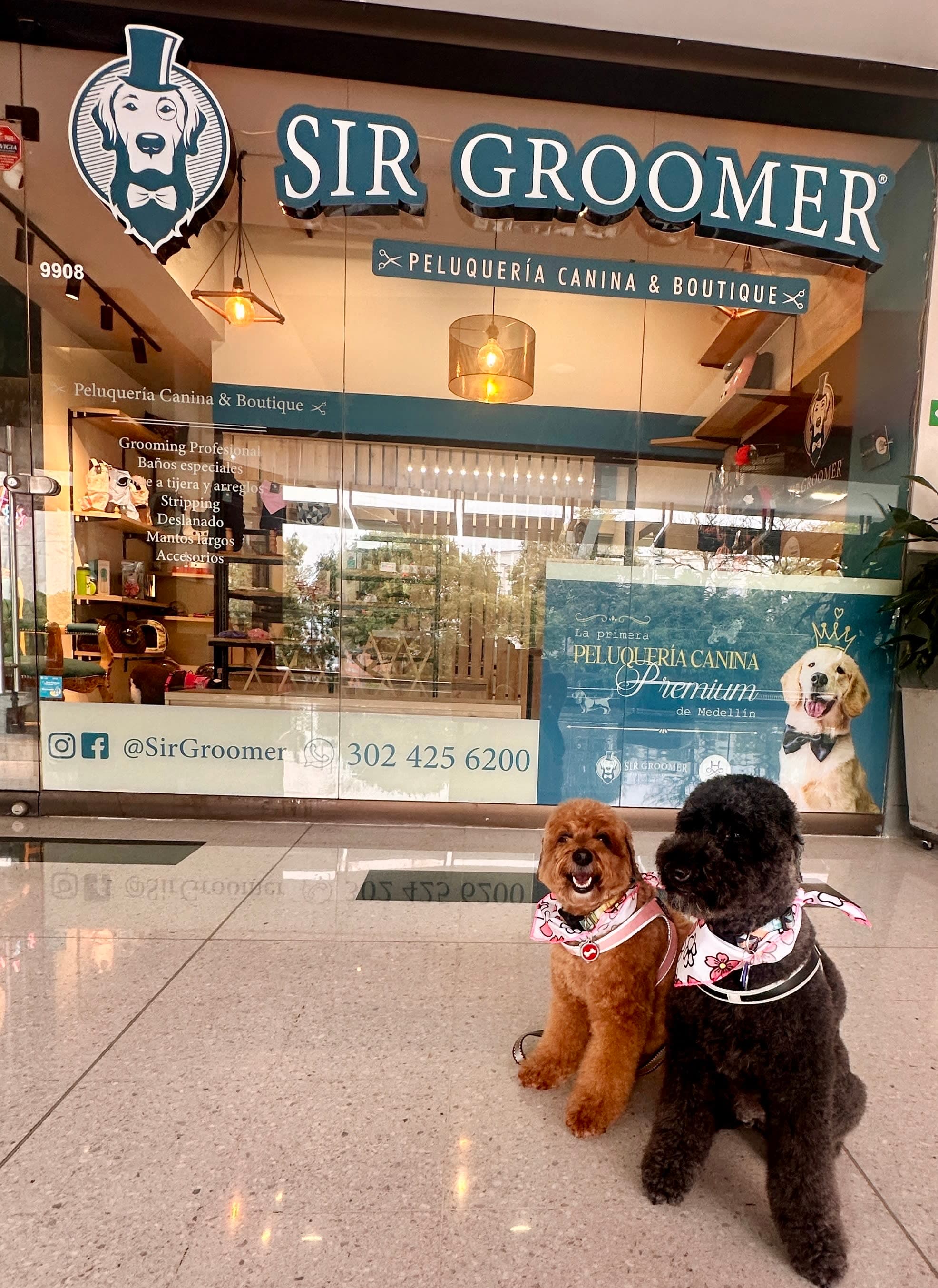 SIR GROOMER | Peluquería Canina & Boutique | POBLADO en Medellín, Antioquia, Colombia - Peluquería para perros