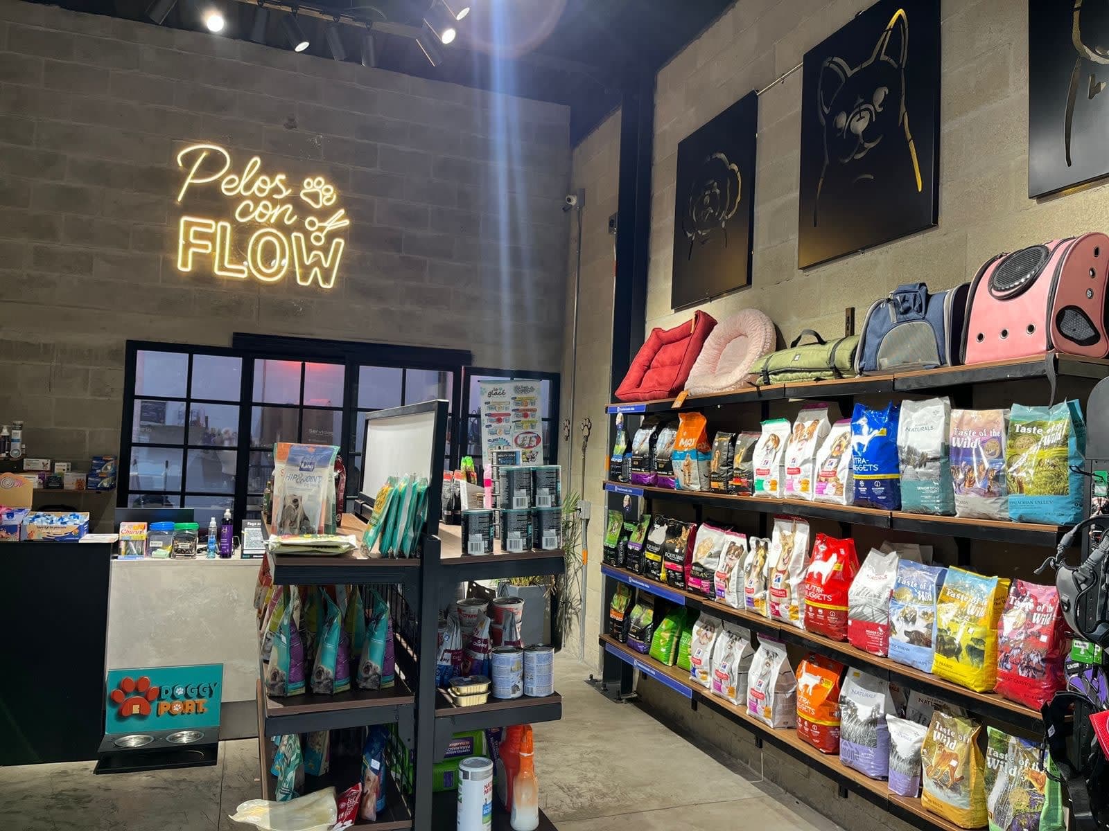 Doggy Port | Grooming & Spa en Medellín, Antioquia, Colombia - Peluquería para perros