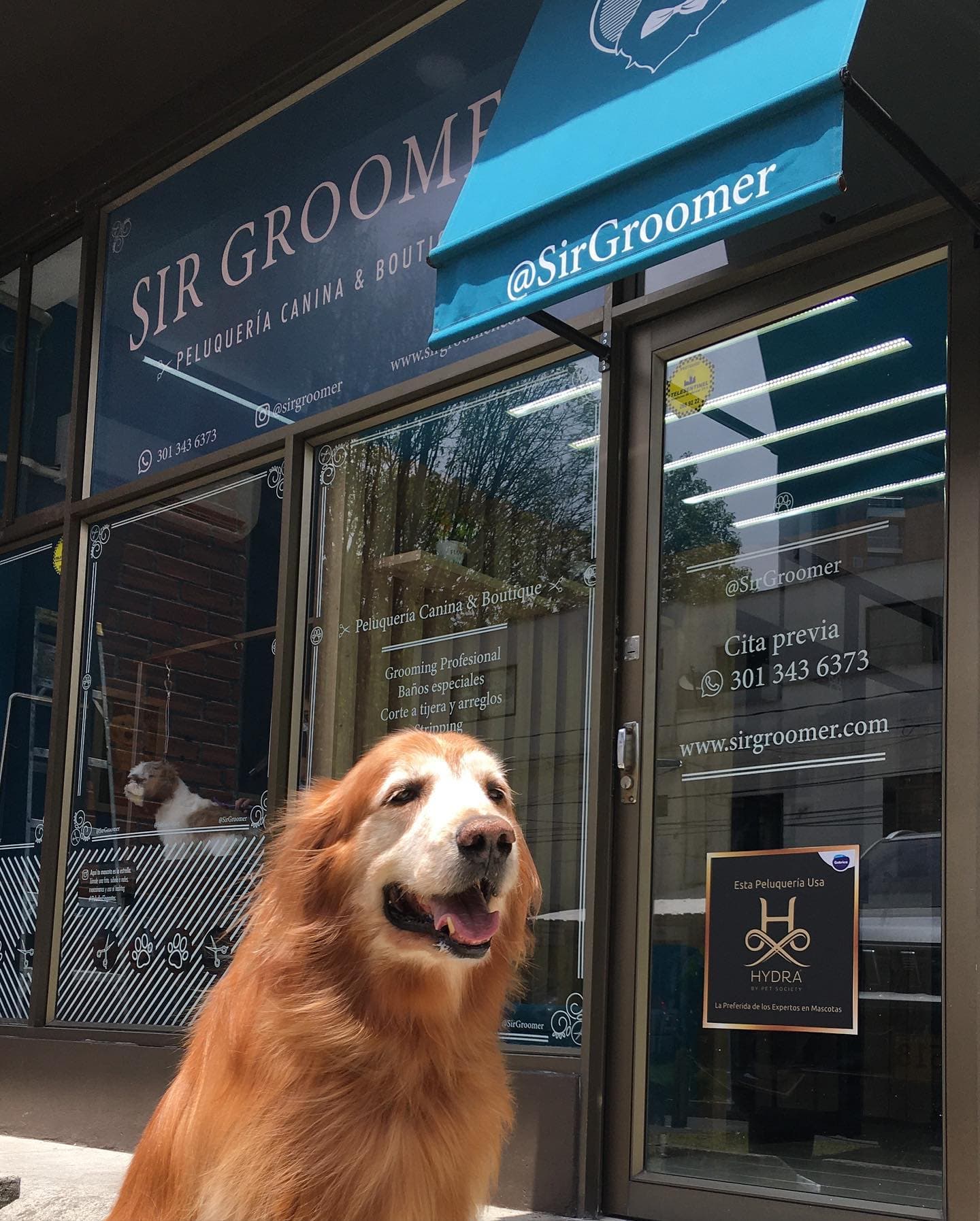 SIR GROOMER | Peluquería Canina & Boutique en Medellín, Colombia - Peluquería para perros