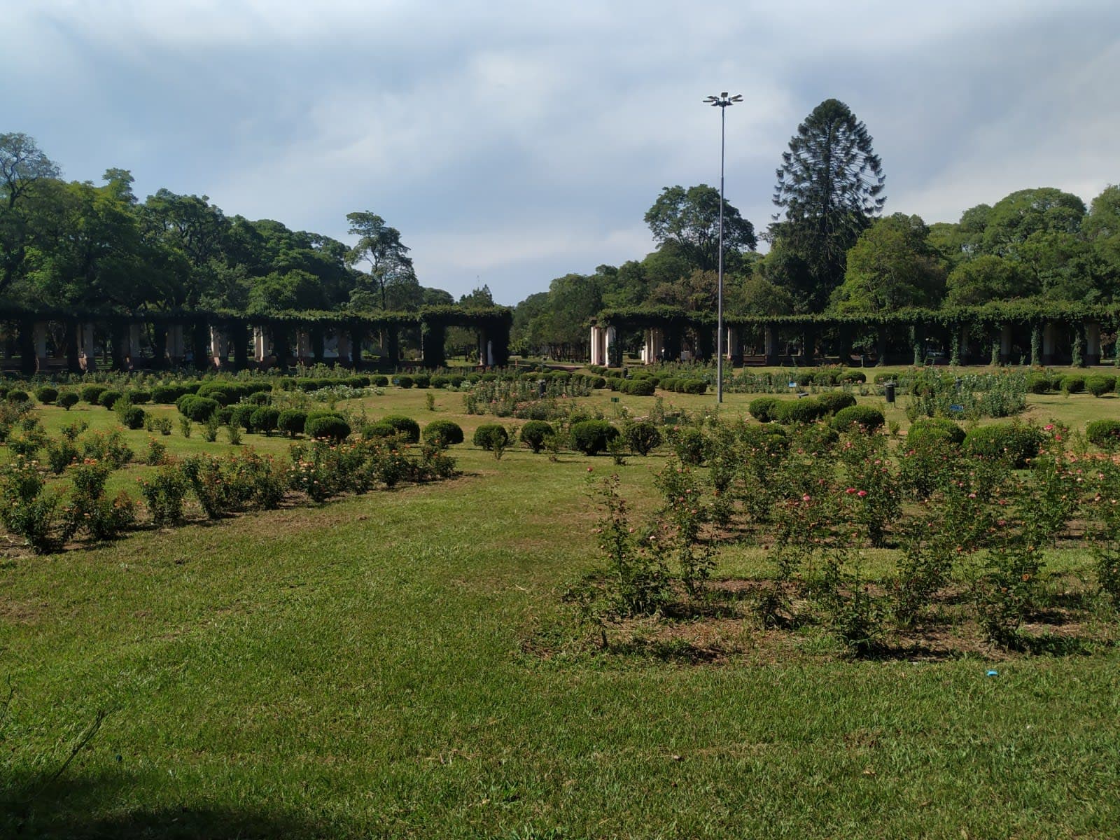 El Rosedal en Tucumán, Argentina - Parques pet friendly