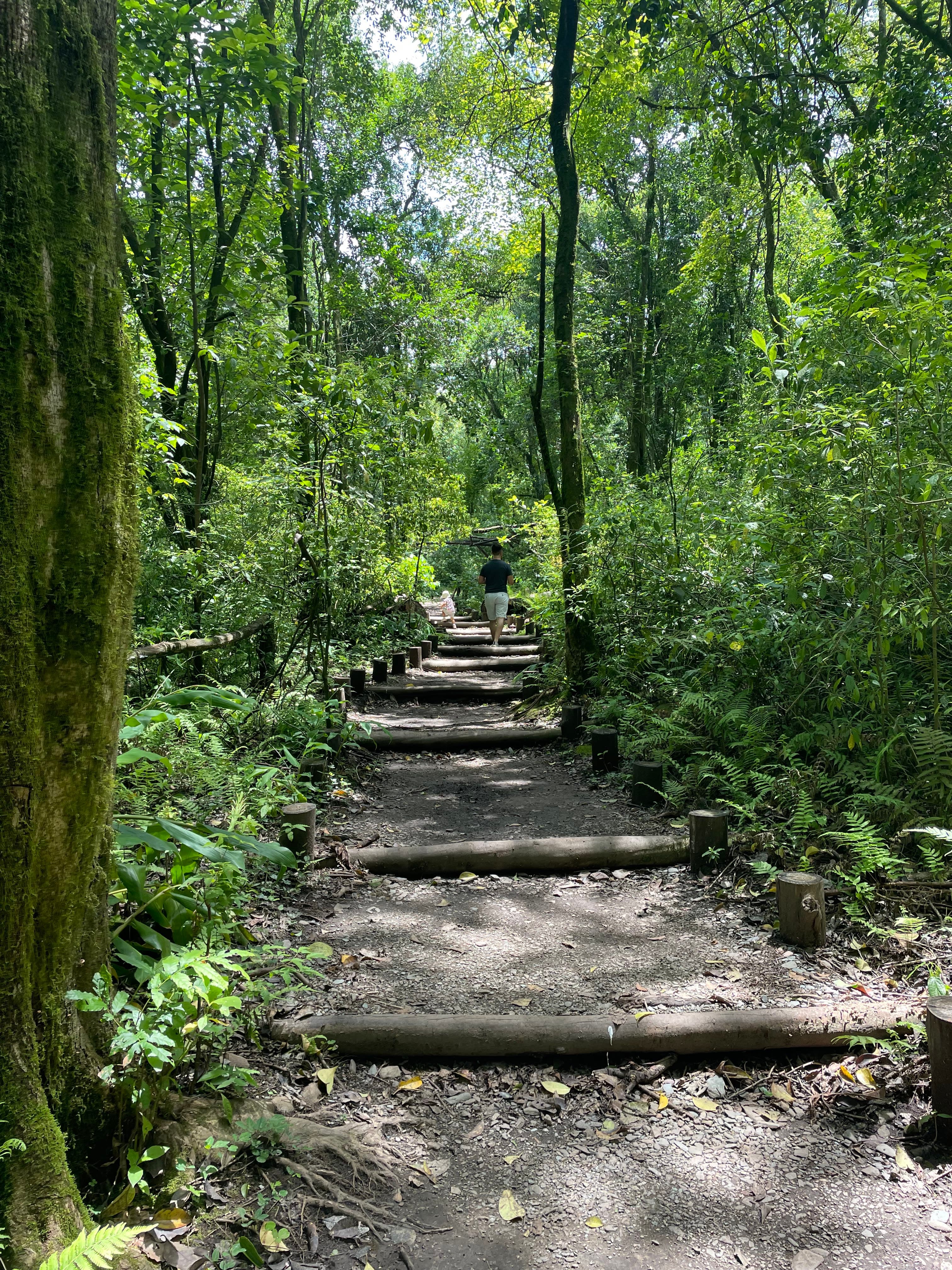 Horco Molle Botanical Garden 2 en Tucumán, Argentina - Parques pet friendly