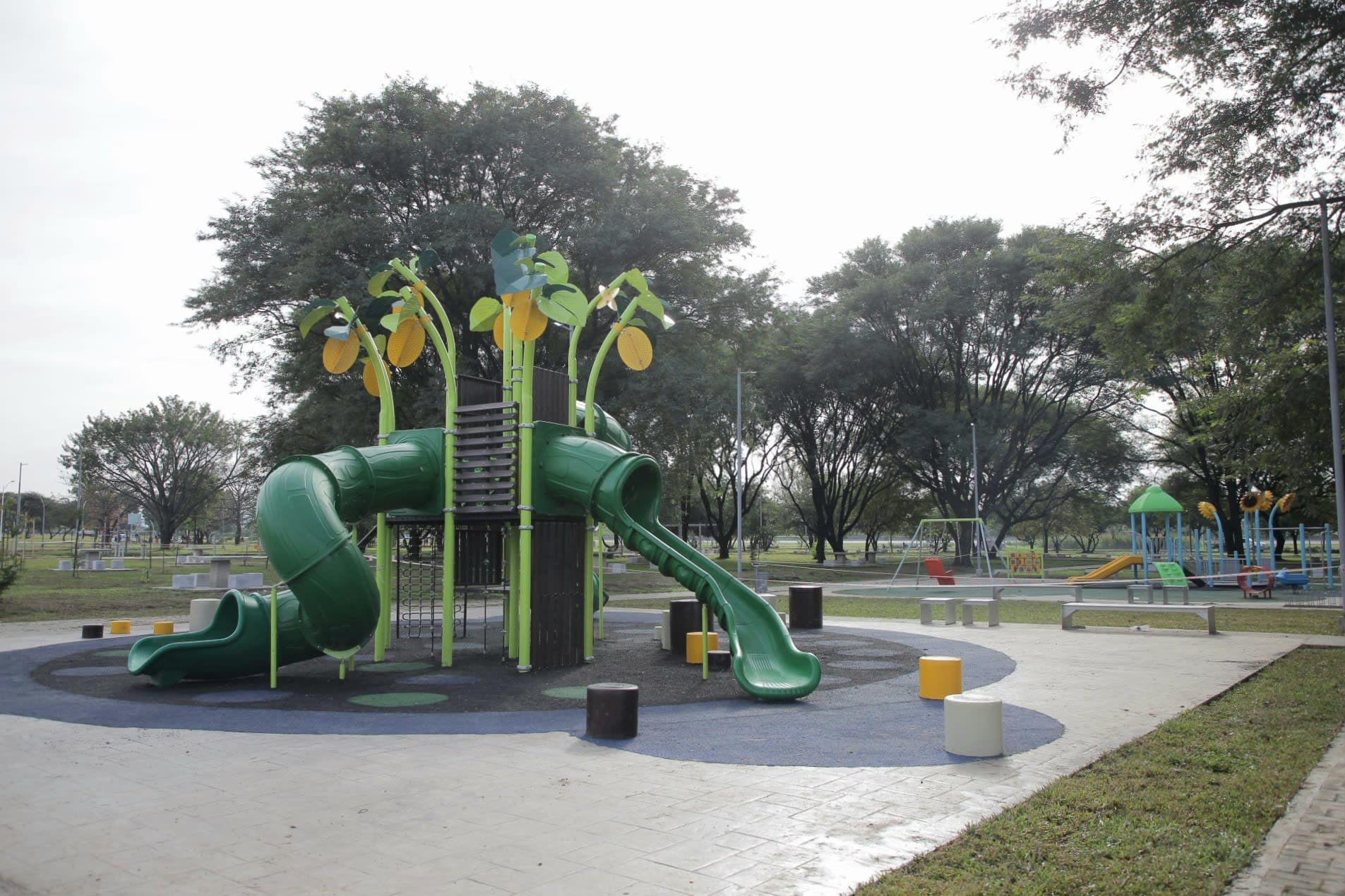 Miguel Lillo theme park - Imagen 1