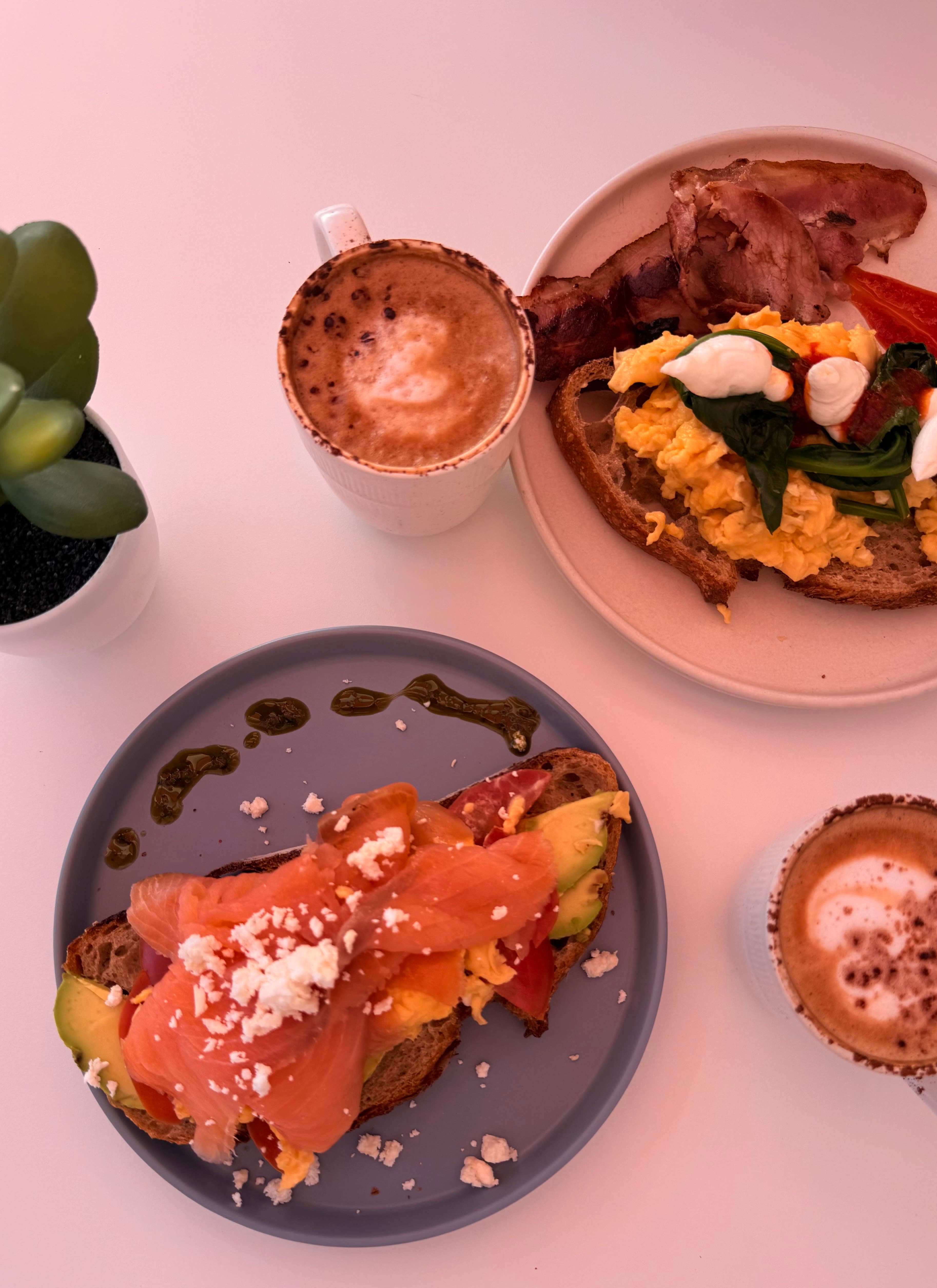 Routine Tenerife Cafe 2 en Canarias, España - Cafeterías y restaurantes pet friendly