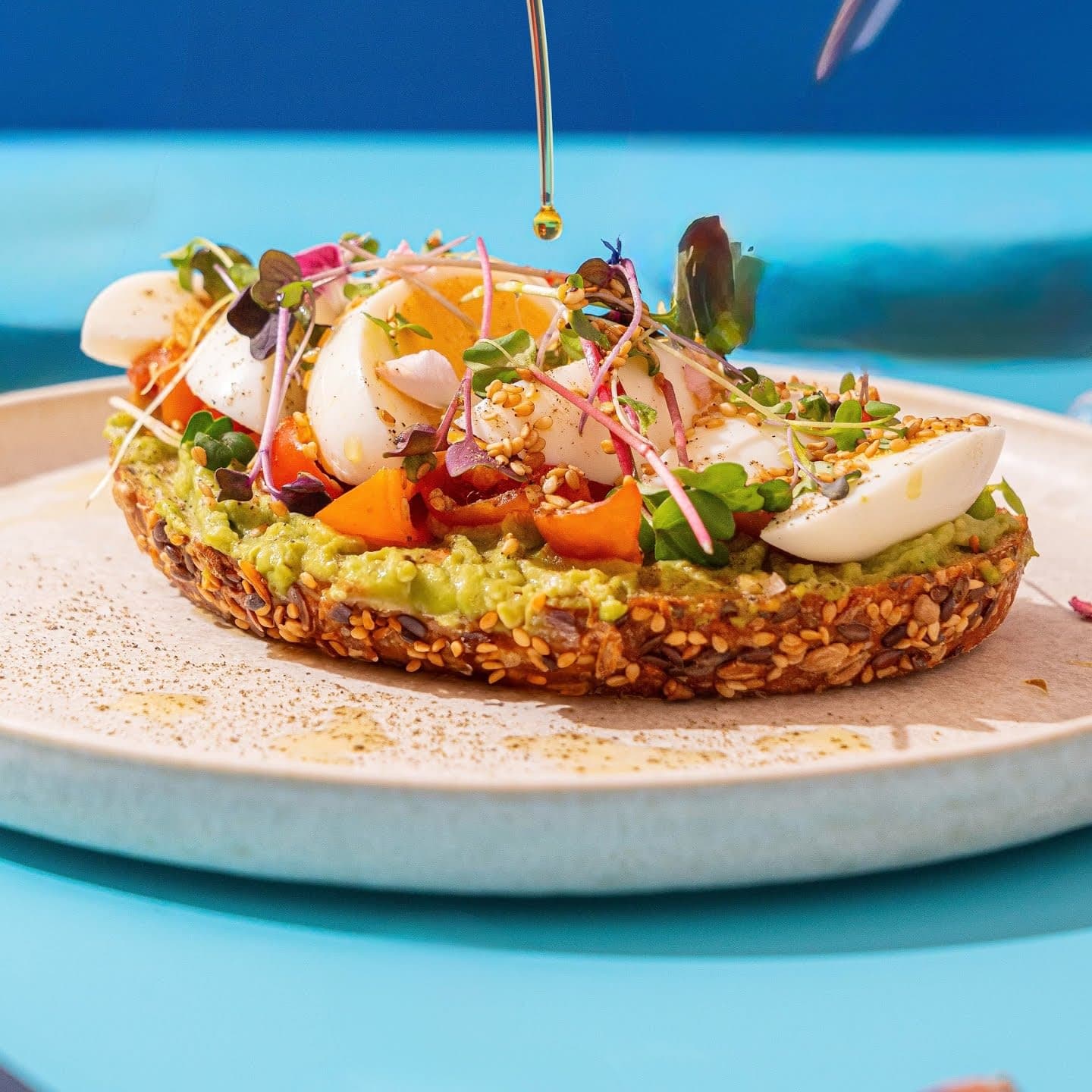 Perrisimo Dog Cafe & Bar 2 en España - Cafeterías y restaurantes pet friendly