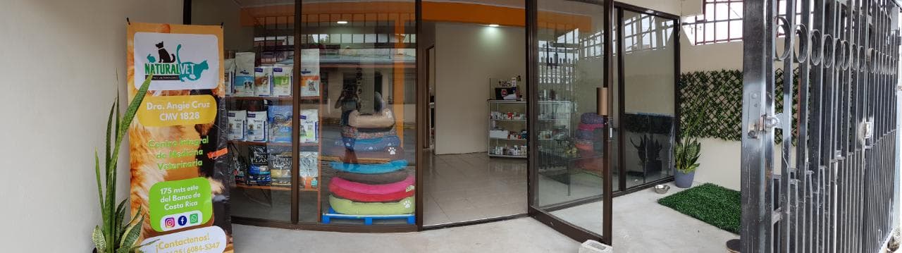 Naturalvet Centro Veterinario 2 en San Ramón, Alajuela, Costa Rica - Gatos en adopción
