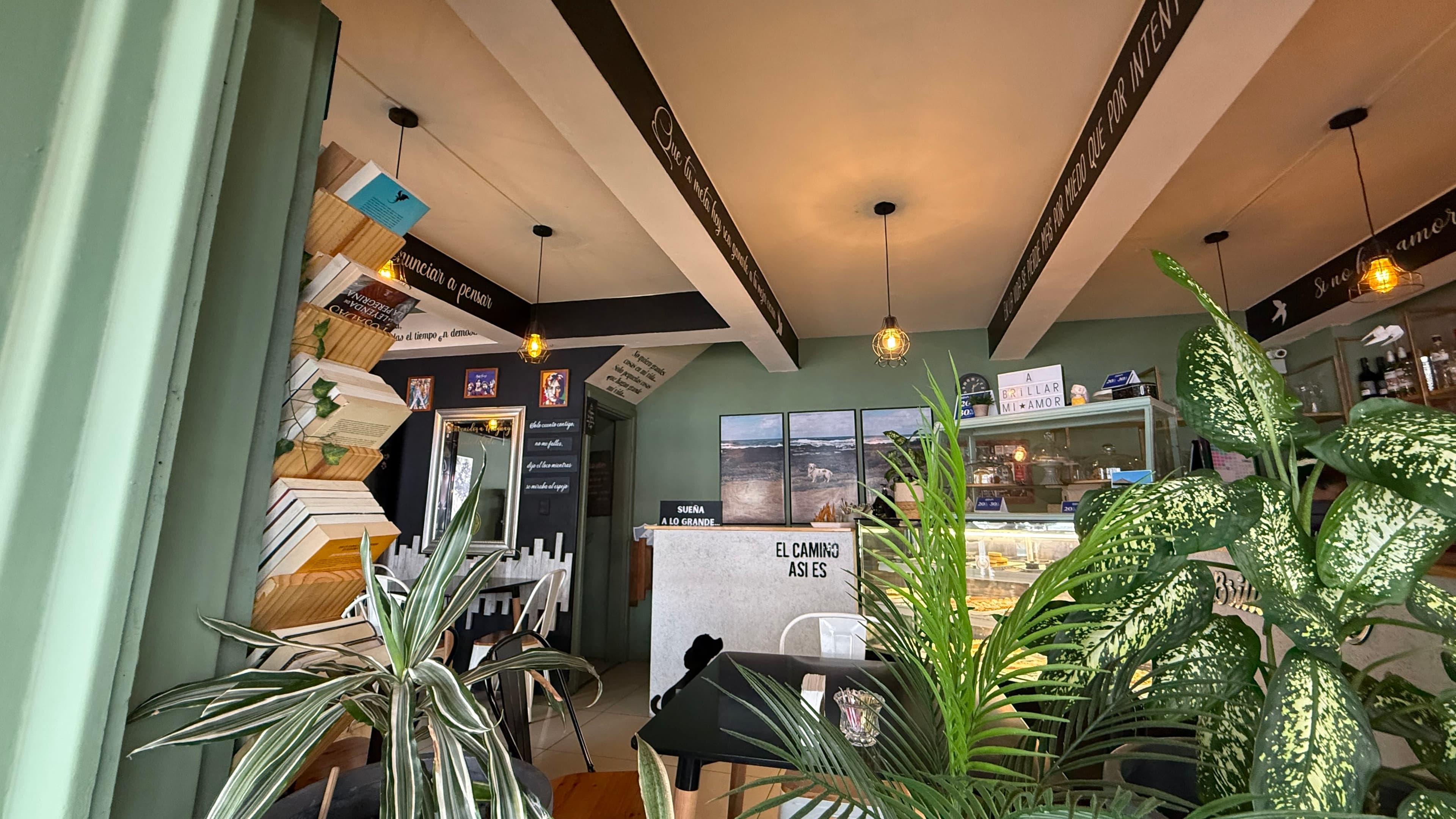 A BRILLAR CAFÉ 2 en Punta del Este, Maldonado, Uruguay - Cafeterías y restaurantes pet friendly