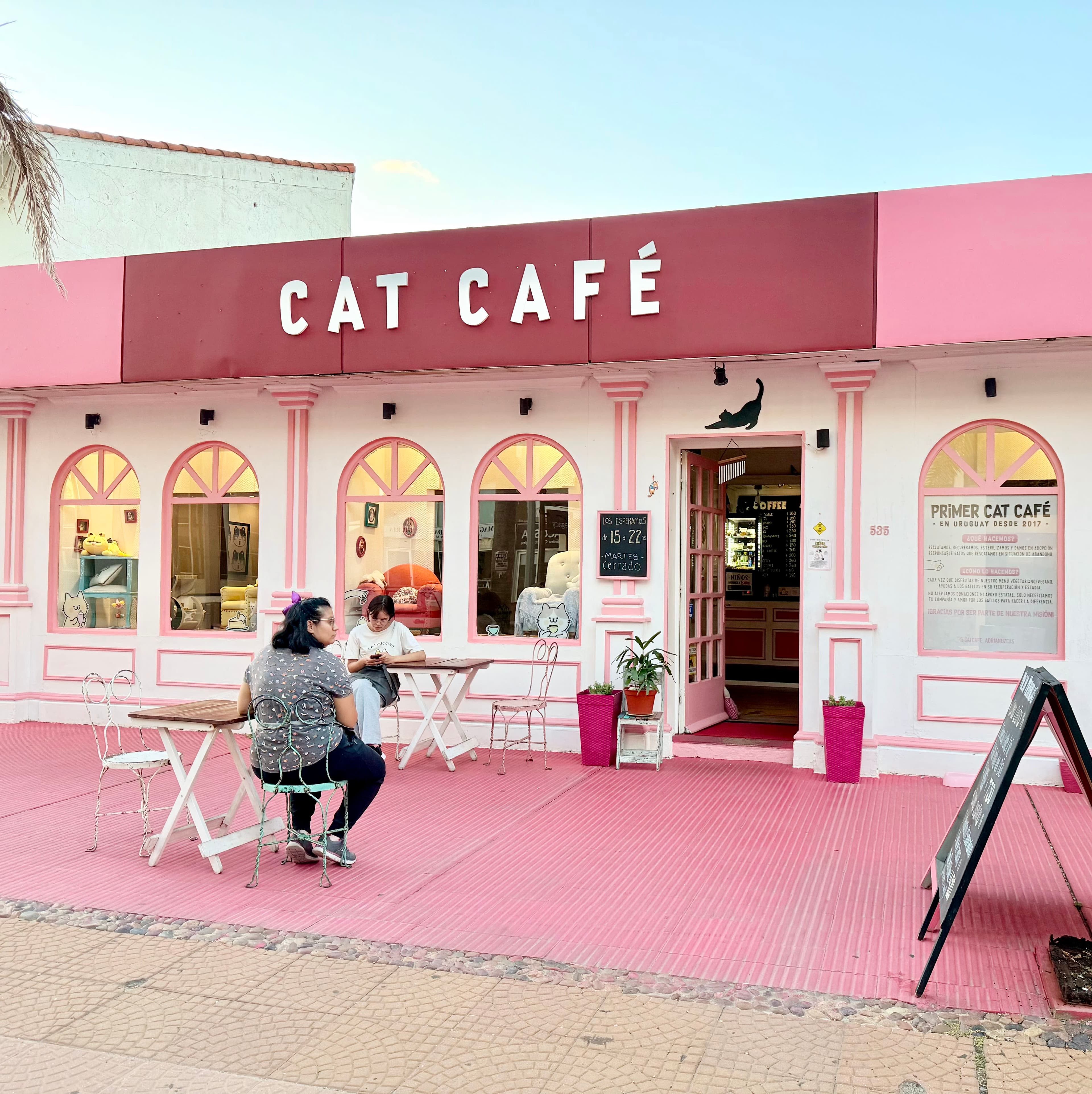 ADRIANUZCA'S CAT CAFÉ ☕🐈 2 en Punta del Este, Maldonado, Uruguay - Cafeterías y restaurantes pet friendly