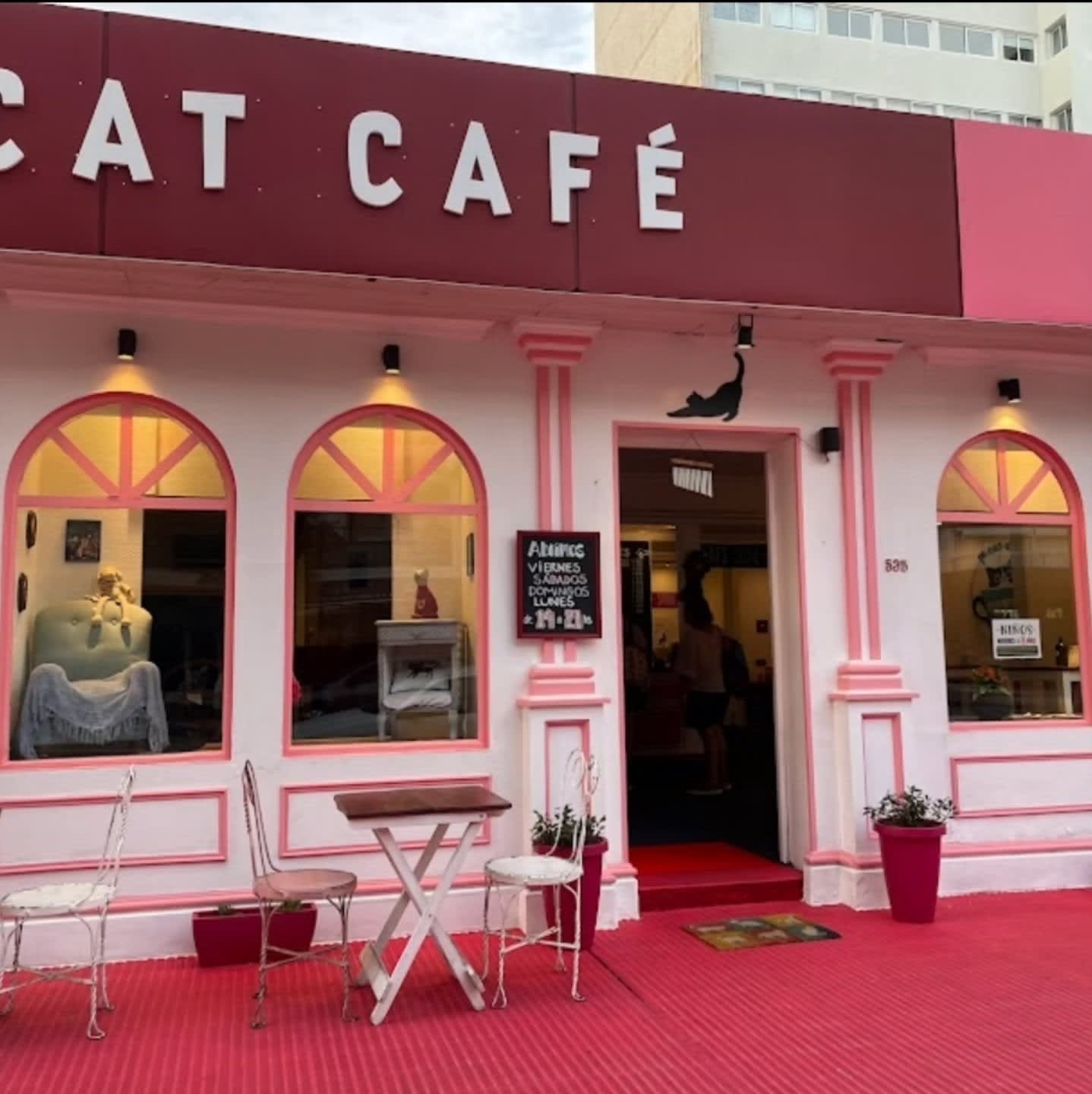 ADRIANUZCA'S CAT CAFÉ ☕🐈 en Punta del Este, Maldonado, Uruguay - Cafeterías y restaurantes pet friendly