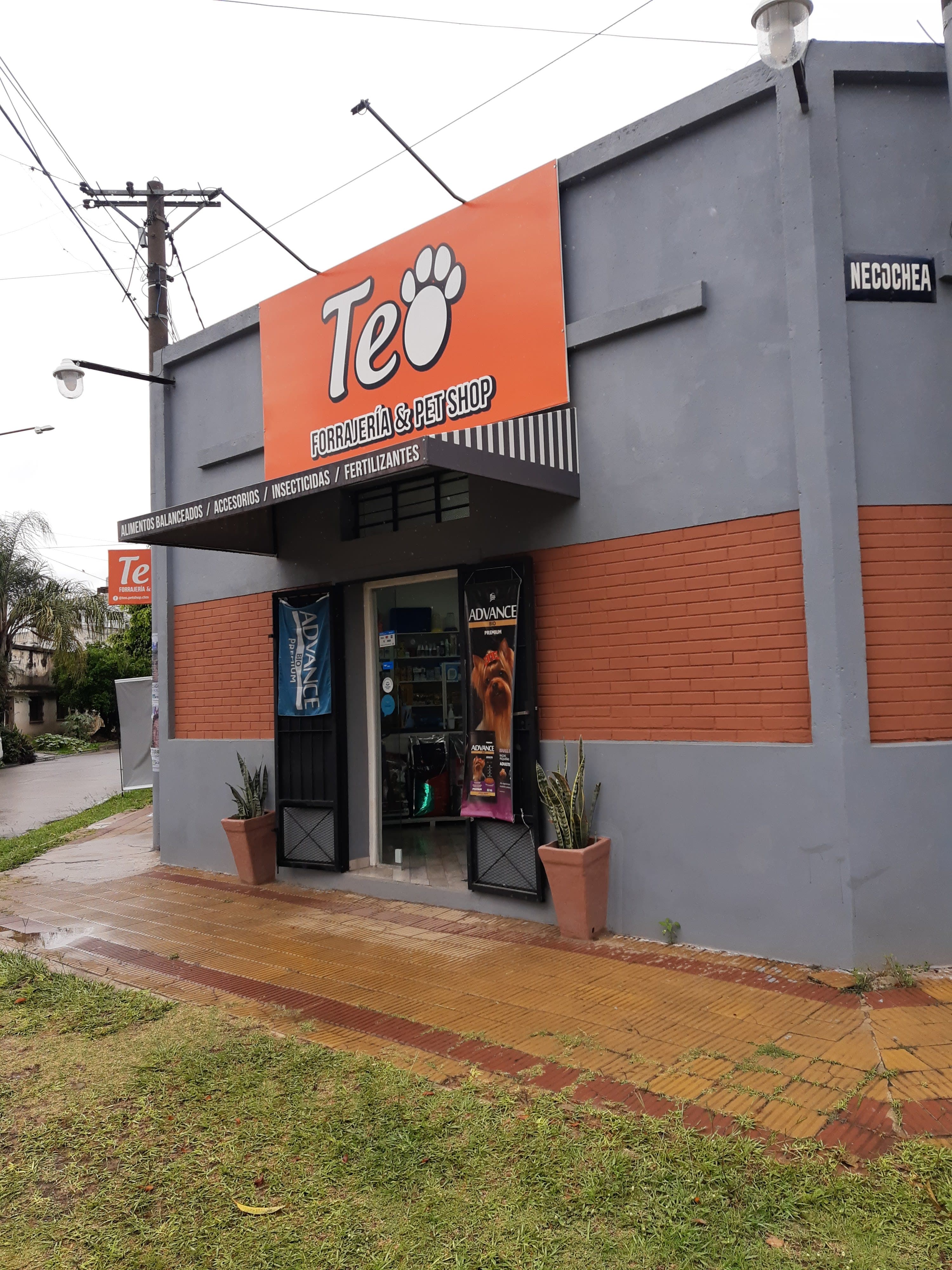 Teo: Petshop - Imagen 1