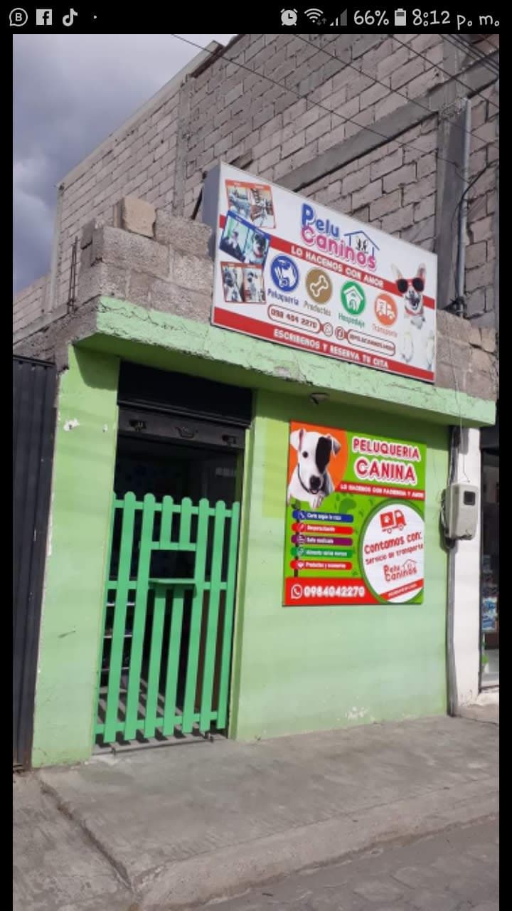 Pelucaninos Mdm en San Antonio de Pichincha, Pichincha, Ecuador - Peluquería para perros