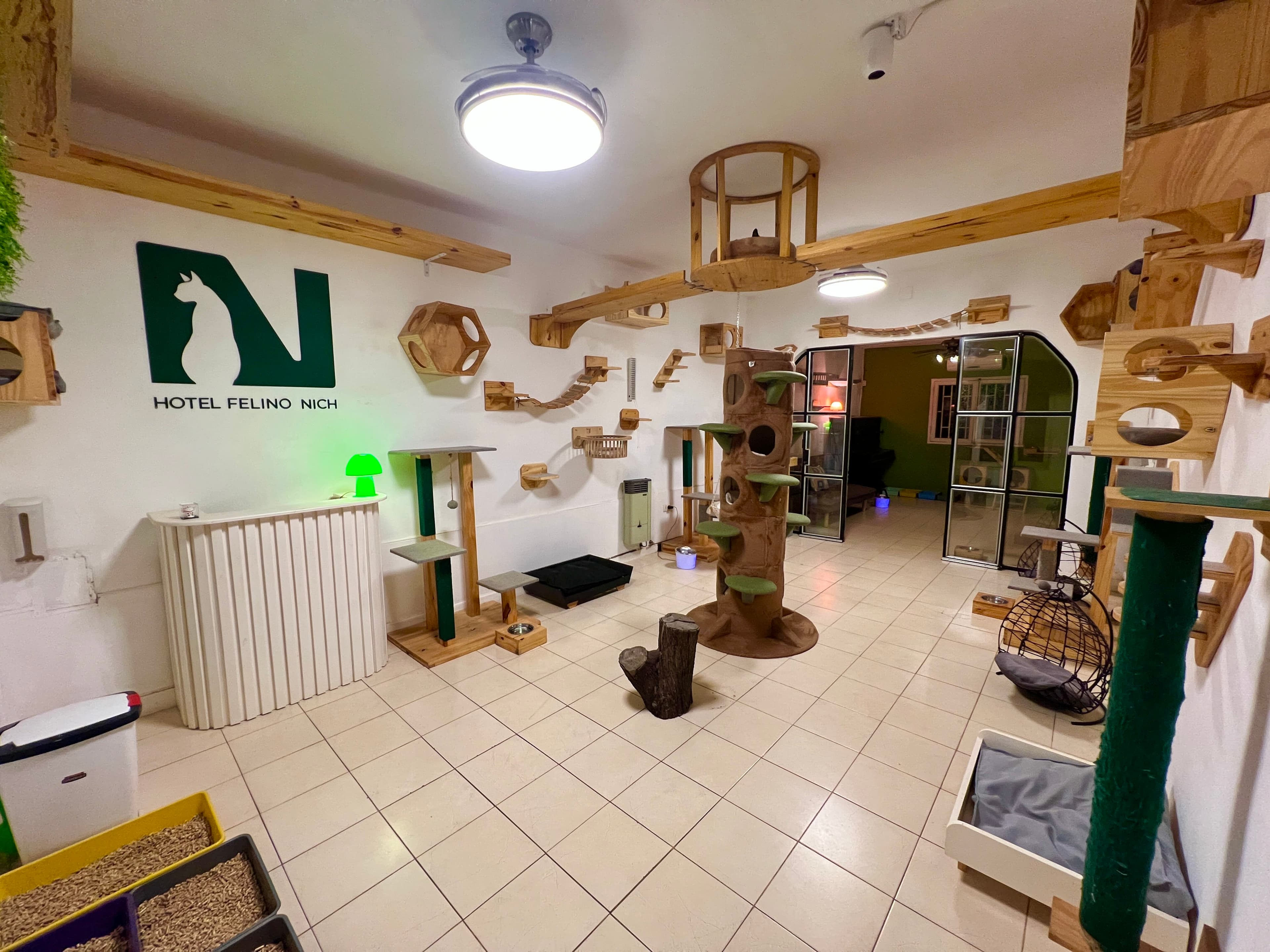 Hotel Felino Nich 2 en Alta Gracia, Córdoba, Argentina - Hoteles y guarderías para gatos
