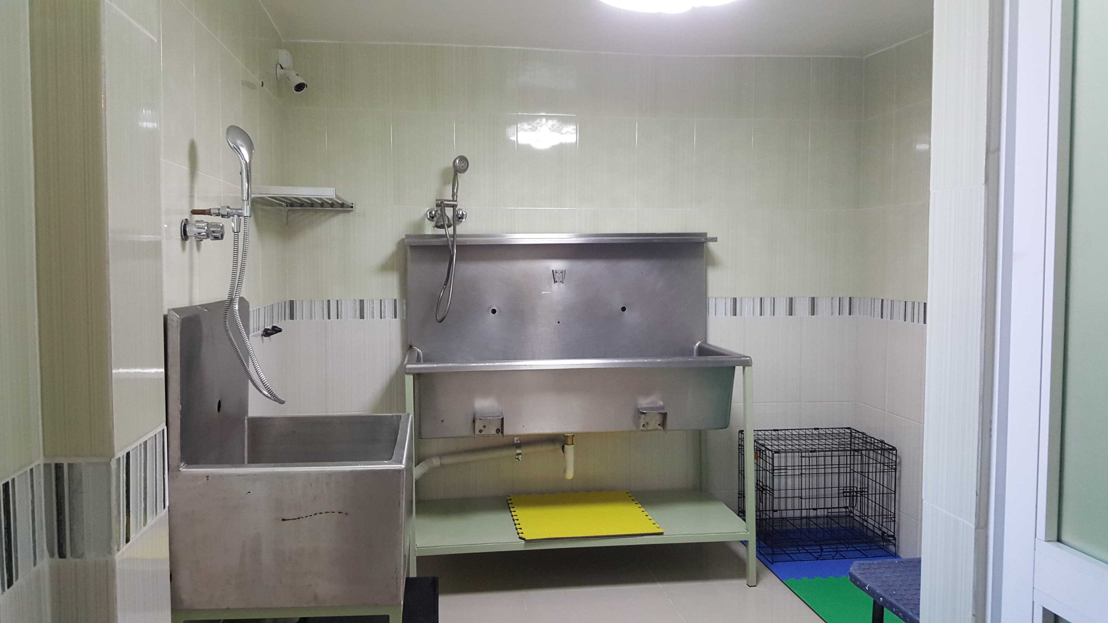 Cuerpo Médico Veterinario