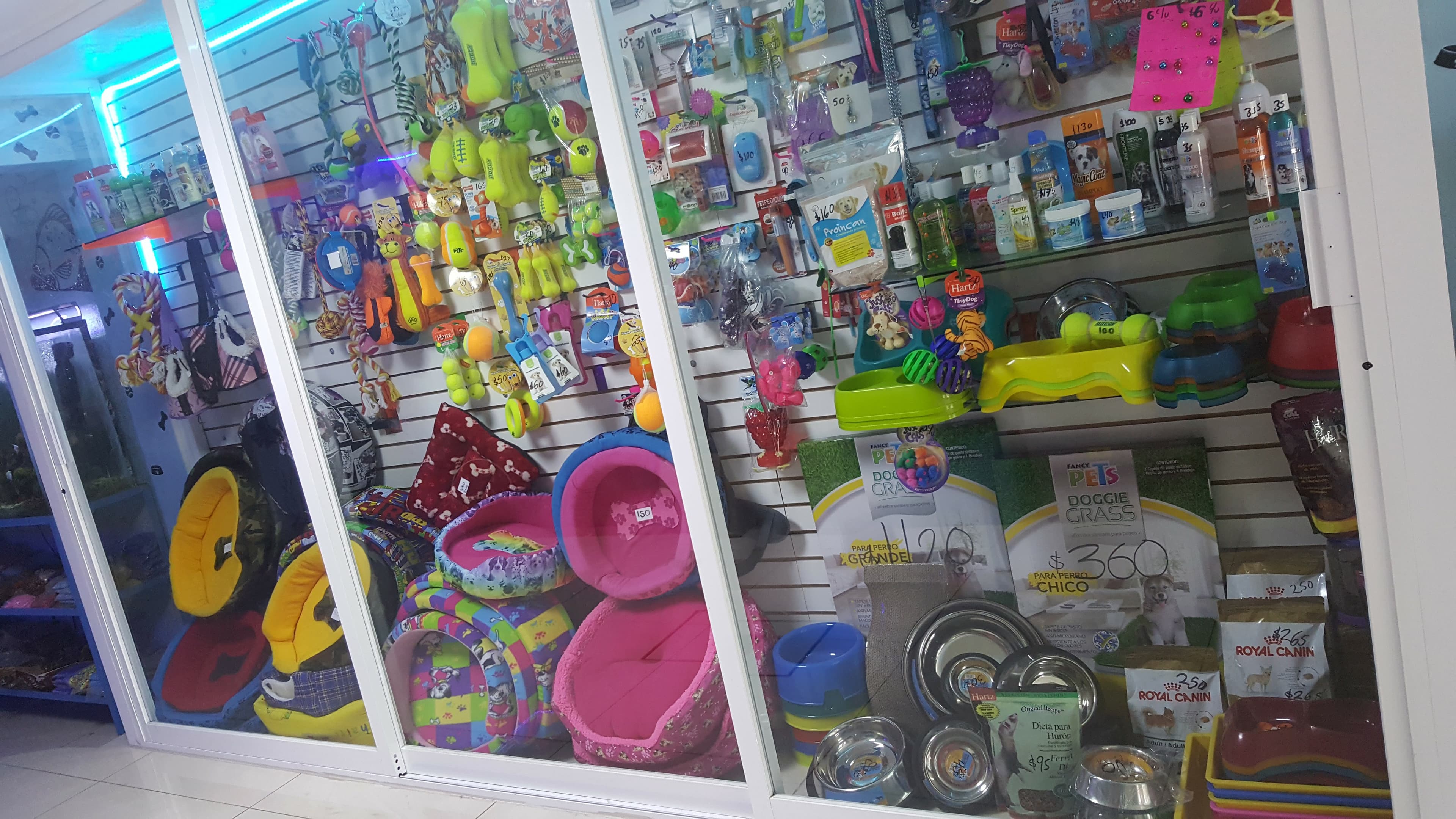 Cuerpo Médico Veterinario 2 en Iztapalapa, Ciudad de México, México - Veterinarios