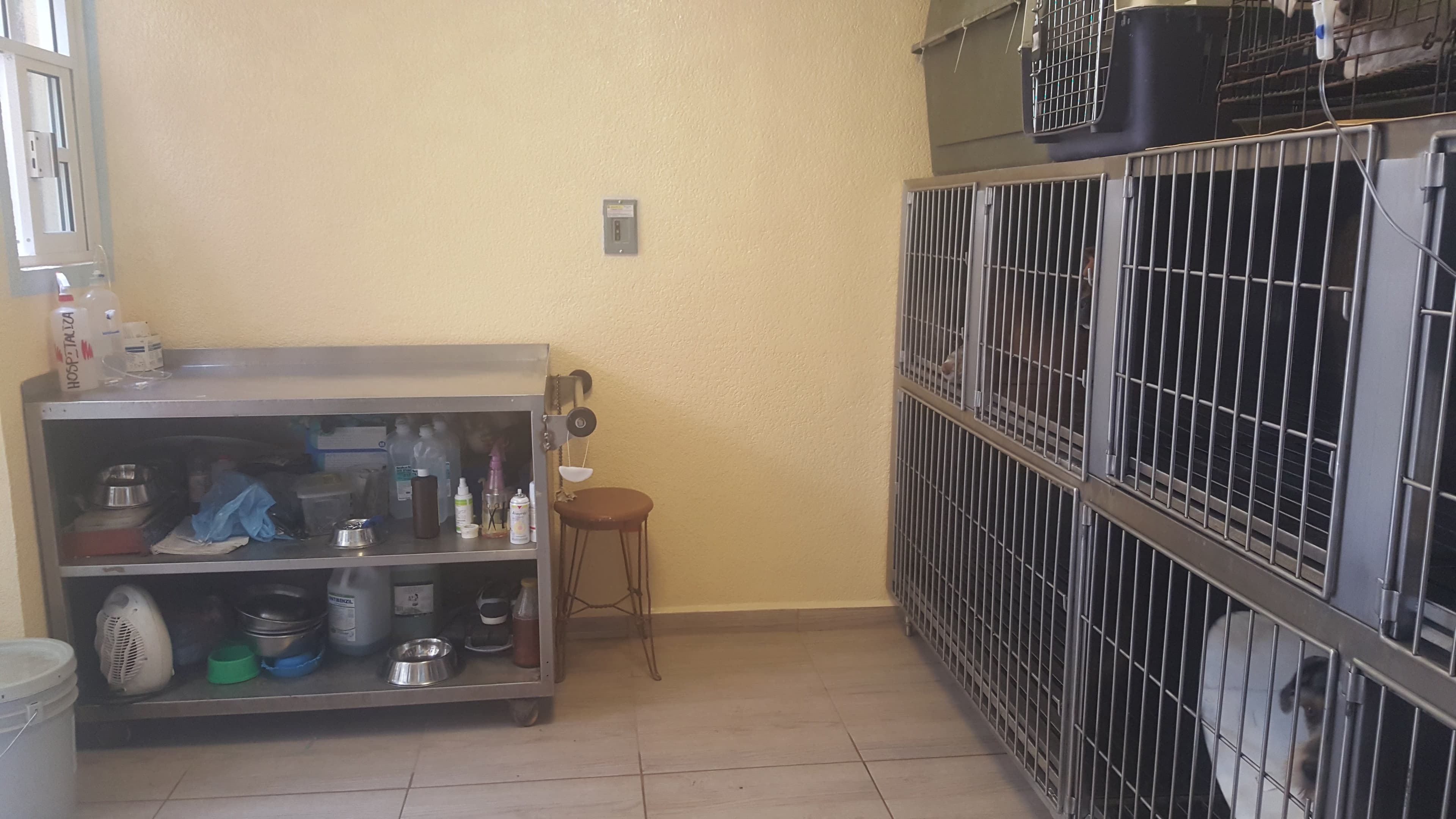 Cuerpo Médico Veterinario 3 en Iztapalapa, Ciudad de México, México - Veterinarios
