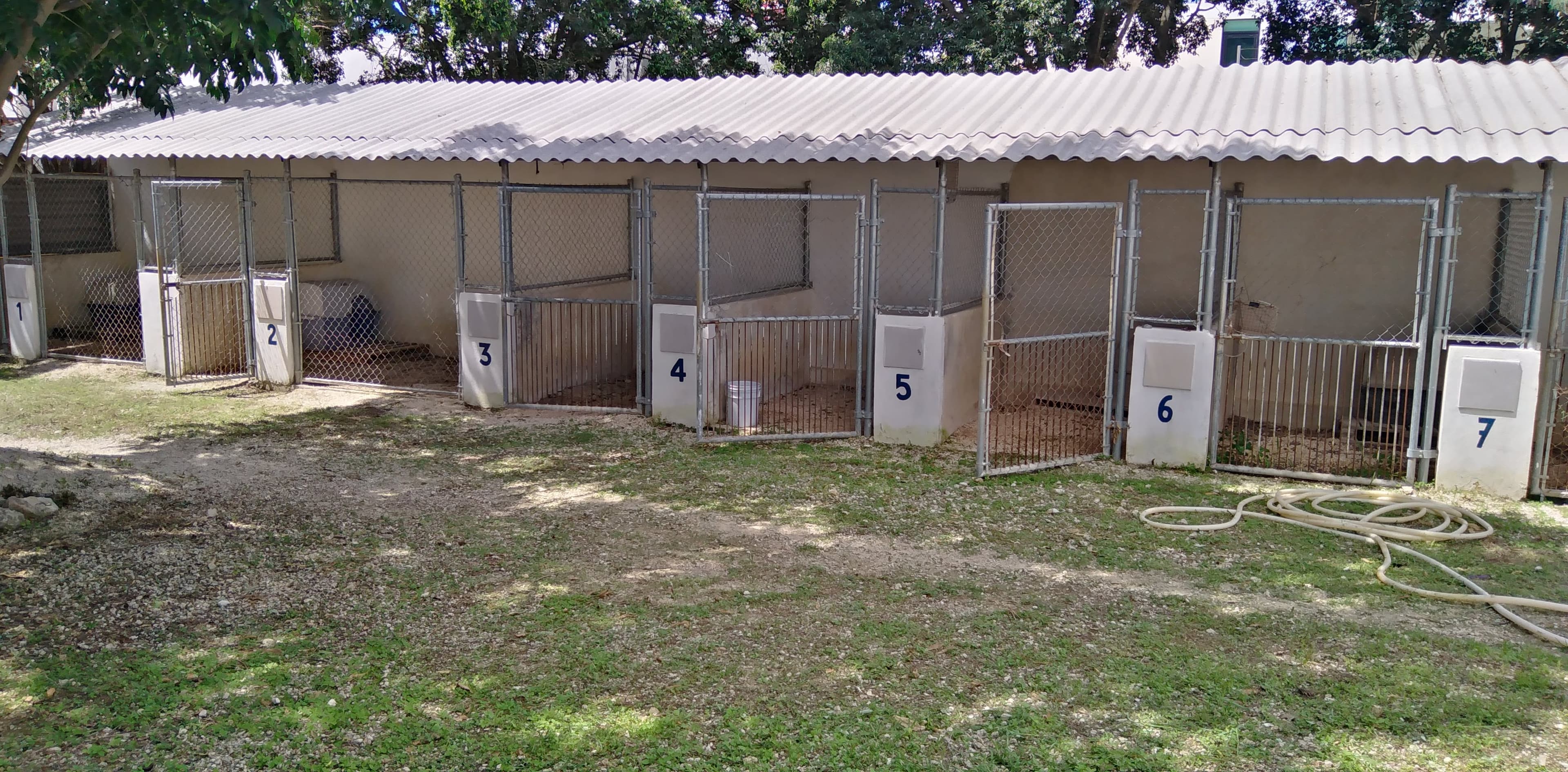 Albergue Franciscano del Animal Desprotegido A. C. MID en Umán, Yucatán 2