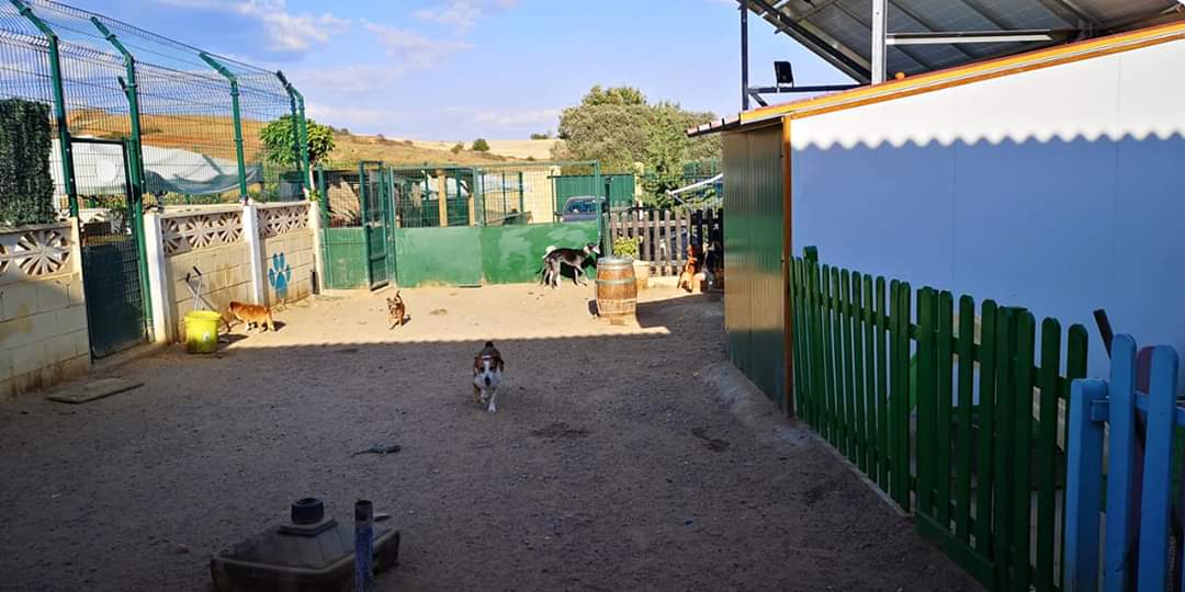 Hotel Canino Las Lomas 3 en Zamora, Castilla y León, España - Hoteles y guarderías para perros