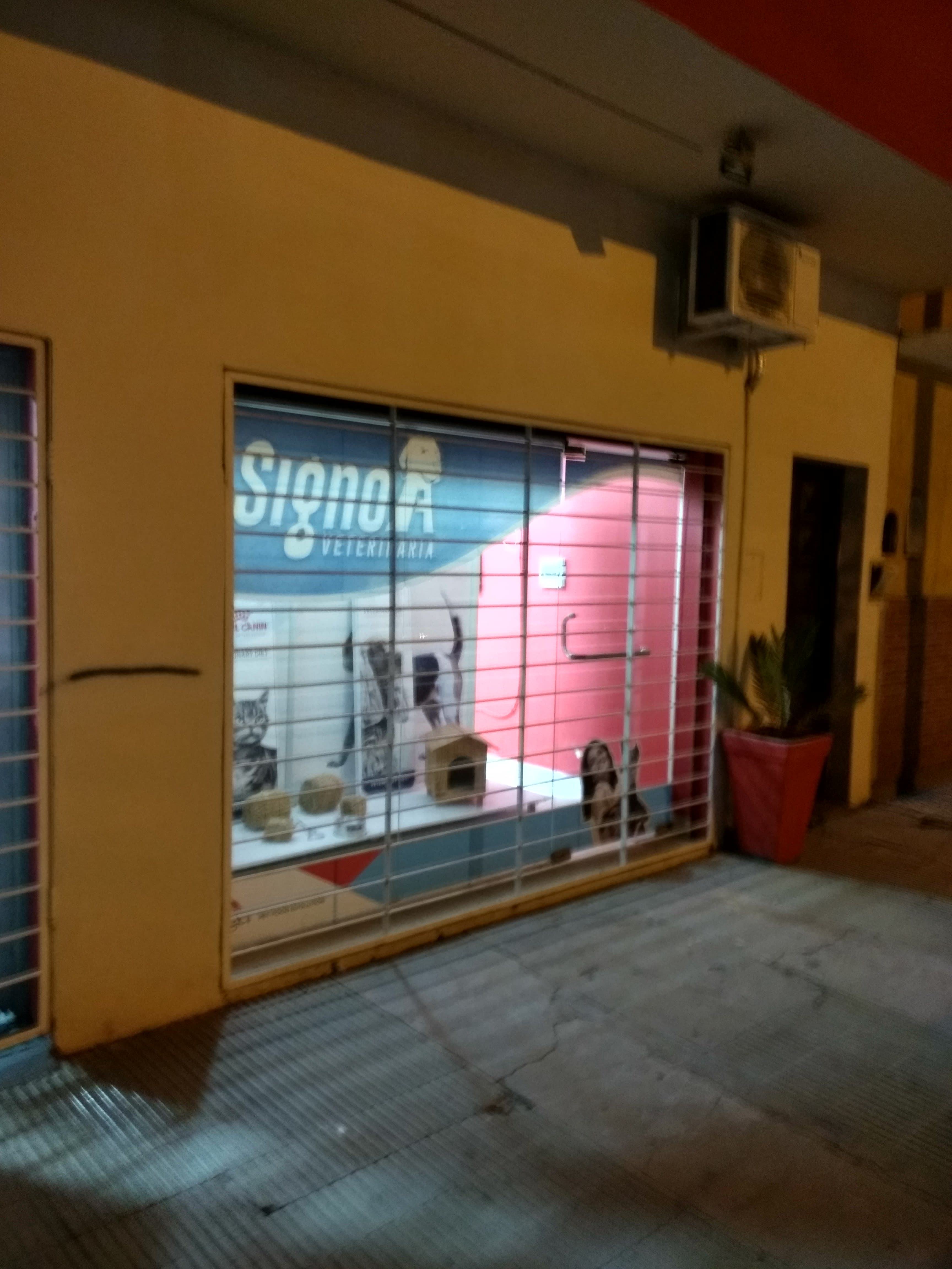 Veterinaria Signo 3 en Sáenz Peña, Chaco, Argentina - Peluquería para gatos