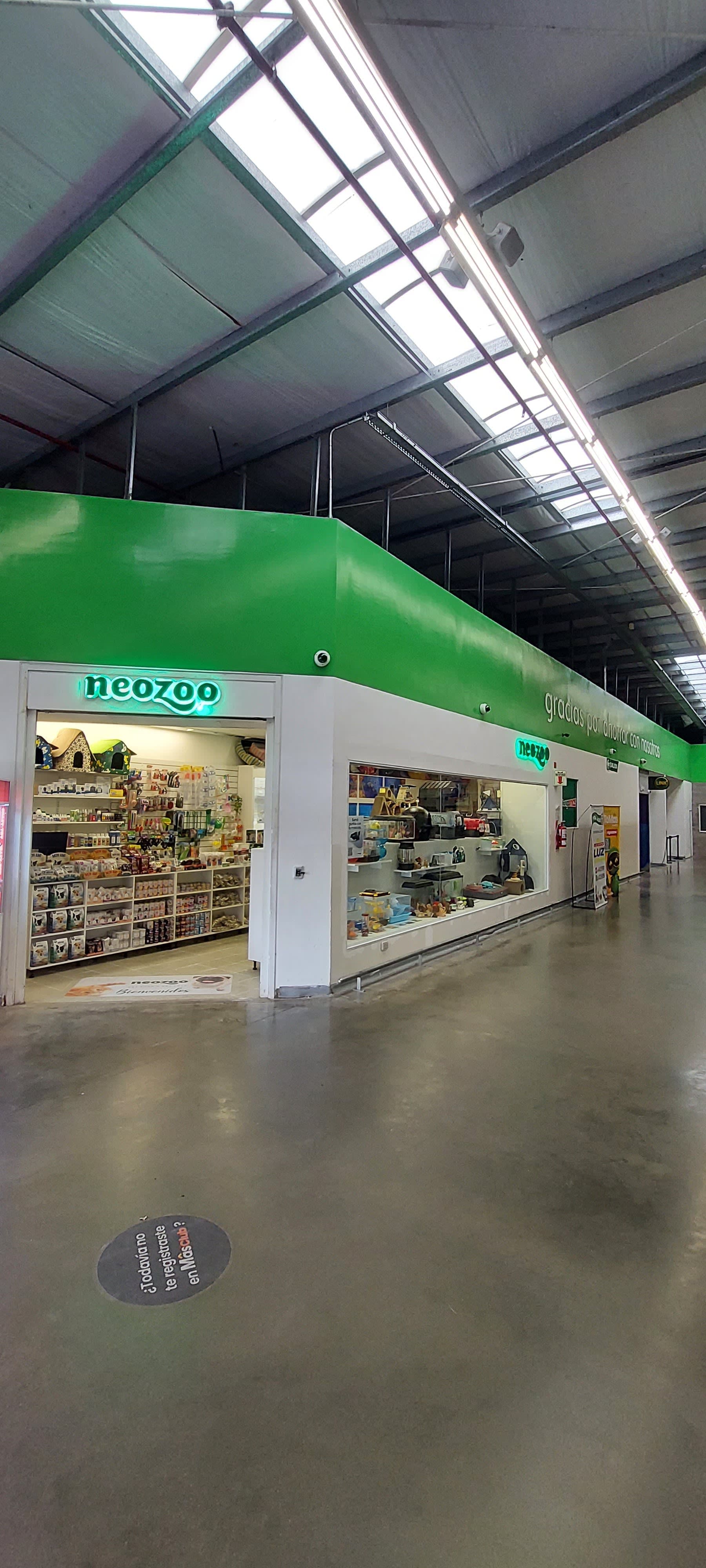 Neozoo Tienda de Mascotas en Sáenz Peña, Chaco, Argentina - Peluquería para gatos