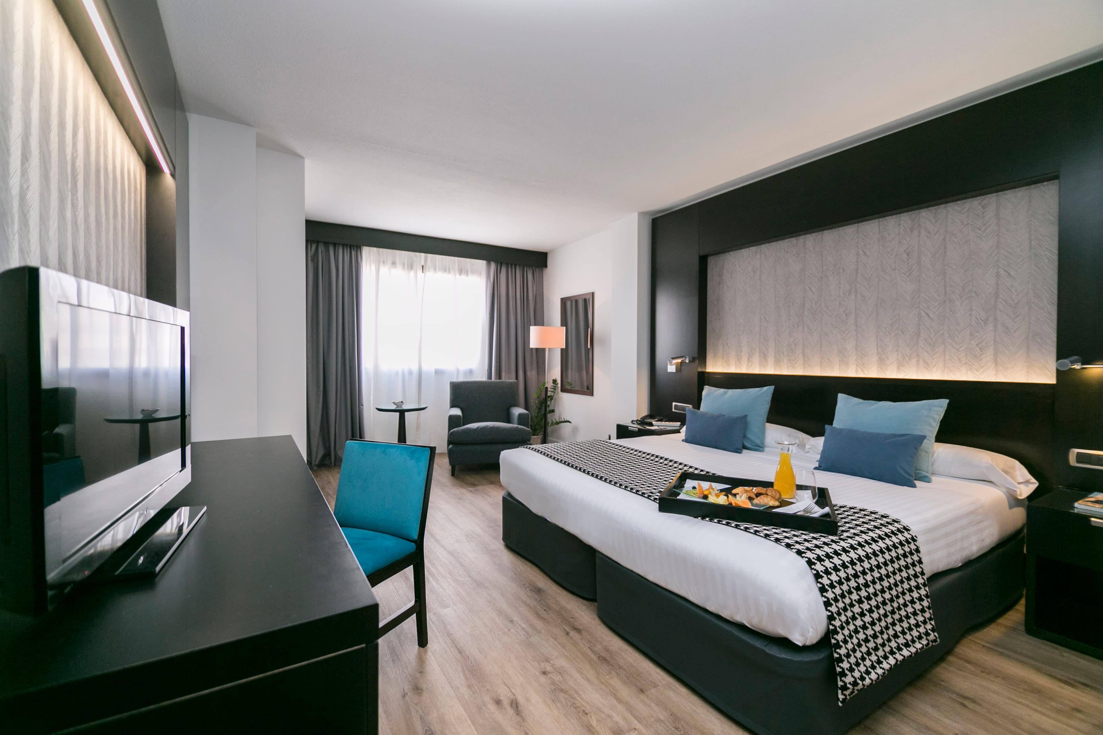 Intelier Rosa 2 en Castellón de la Plana, Valencia, España - Hoteles pet friendly