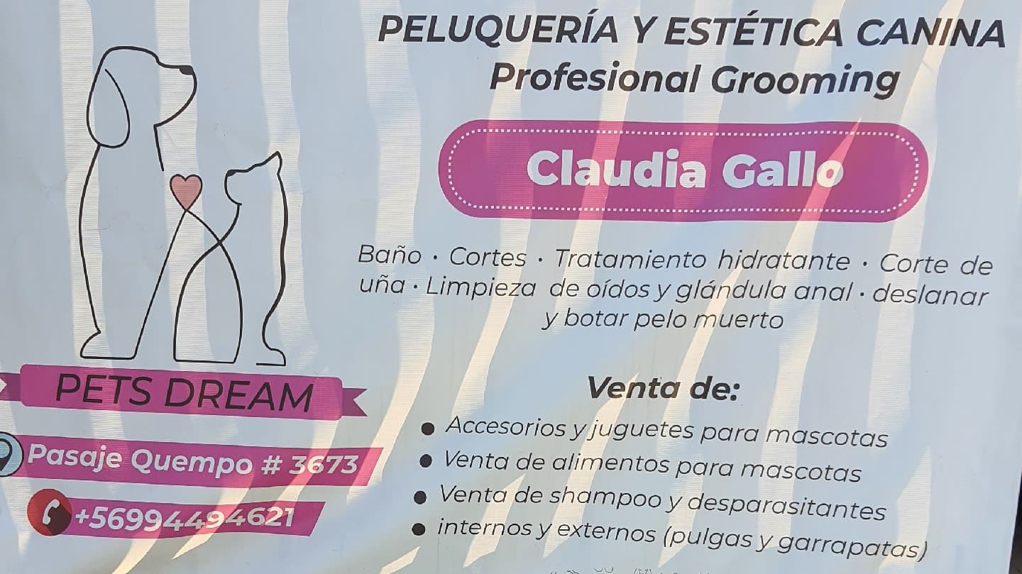 Pets dream en Puente Alto, Metropolitana de Santiago, Chile - Peluquería para perros