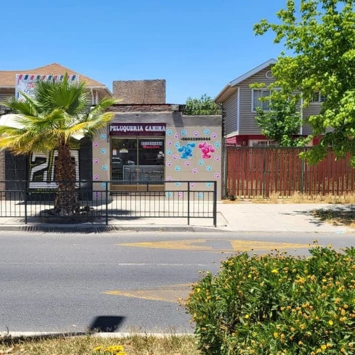 Pet Style Peluquería Canina y Felina. 2 en Puente Alto, Metropolitana de Santiago, Chile - Peluquería para perros