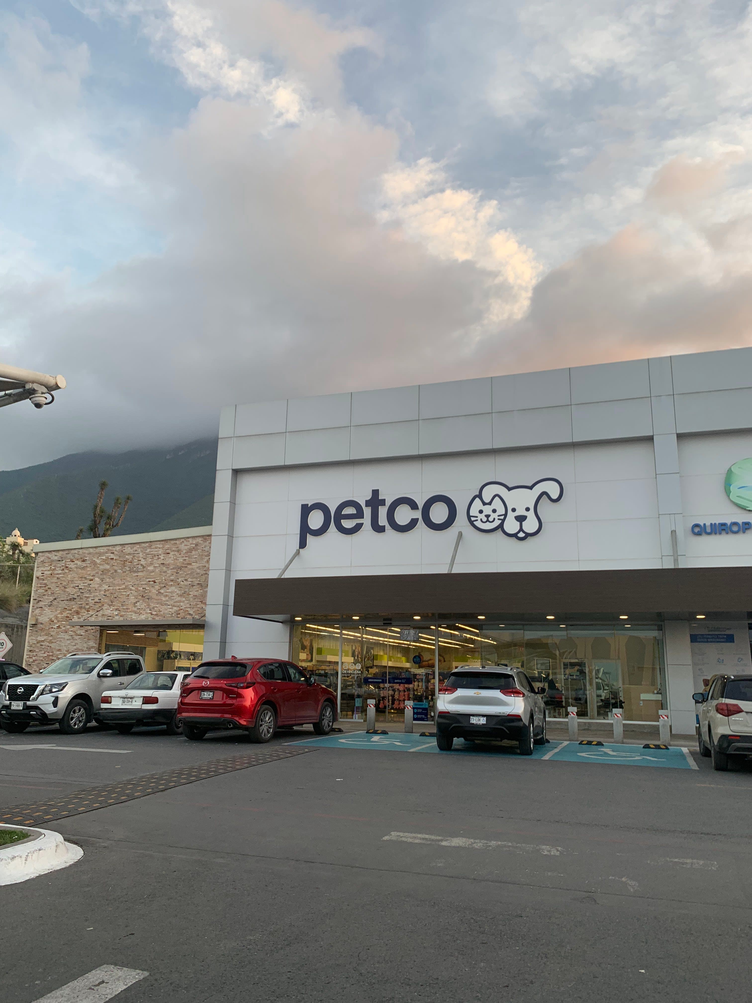 Petco Cumbres en Apodaca, Nuevo León, México - Gatos en adopción