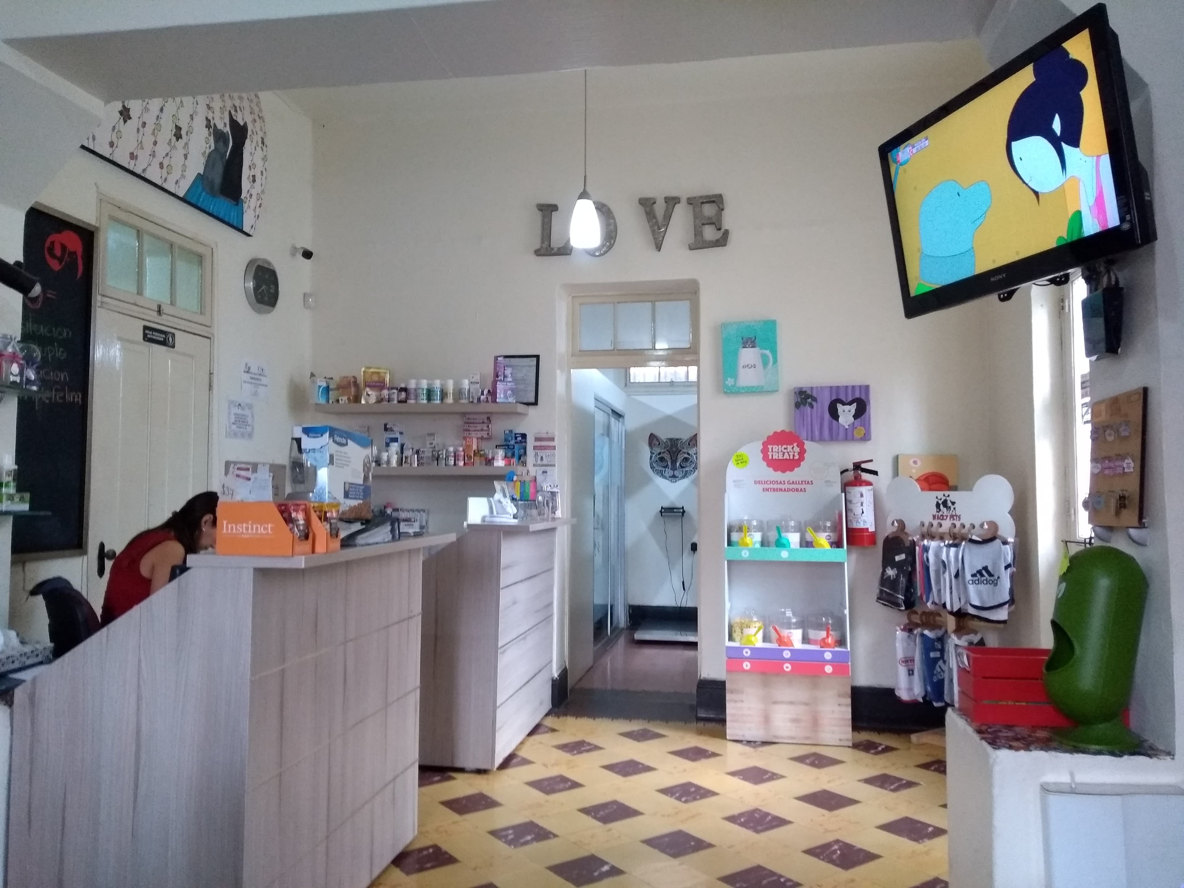 Love Hospital Dogs 3 en Apodaca, Nuevo León, México - Gatos en adopción