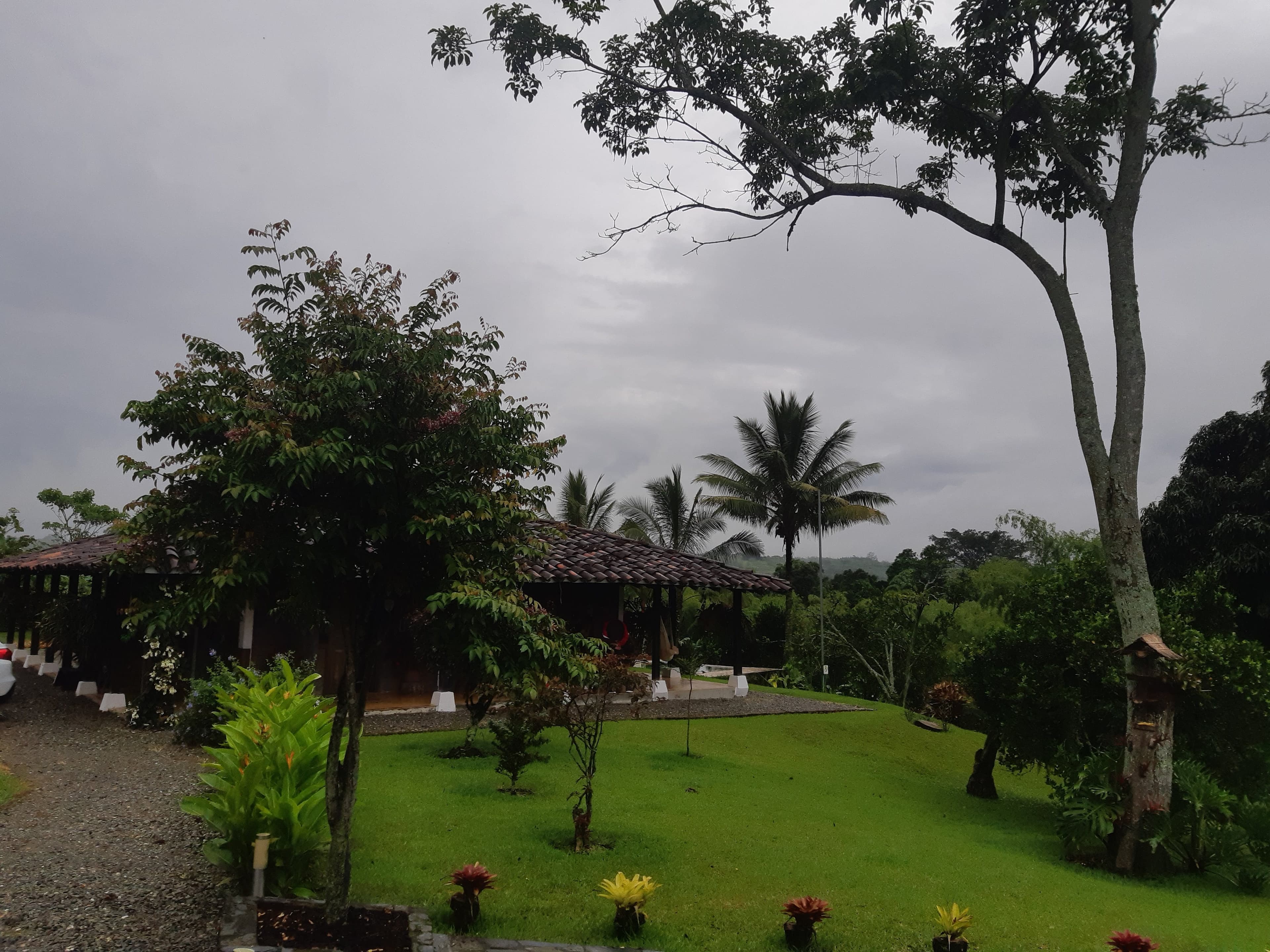 Hotel En La Tebaida 2 en La Tebaida, Quindío, Colombia - Hoteles pet friendly