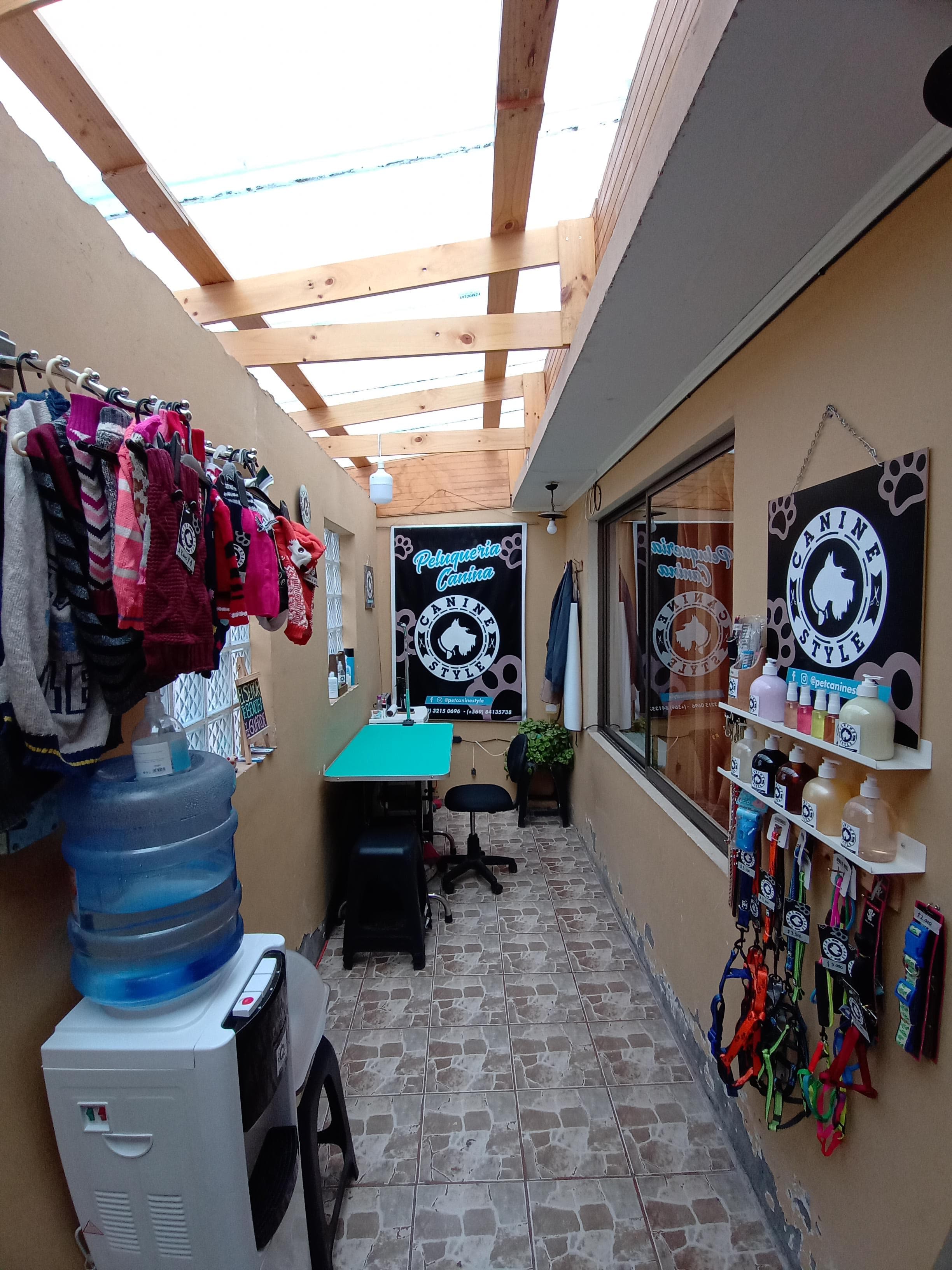 CANINE STYLE / peluquería canina 2 en Alto Hospicio, Tarapacá, Chile - Peluquería para perros